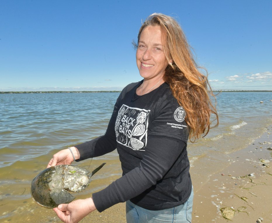 Long Island Marine and Coastal Field Guide: A Trusty Companion on Land and at Sea- The Southampton Press
