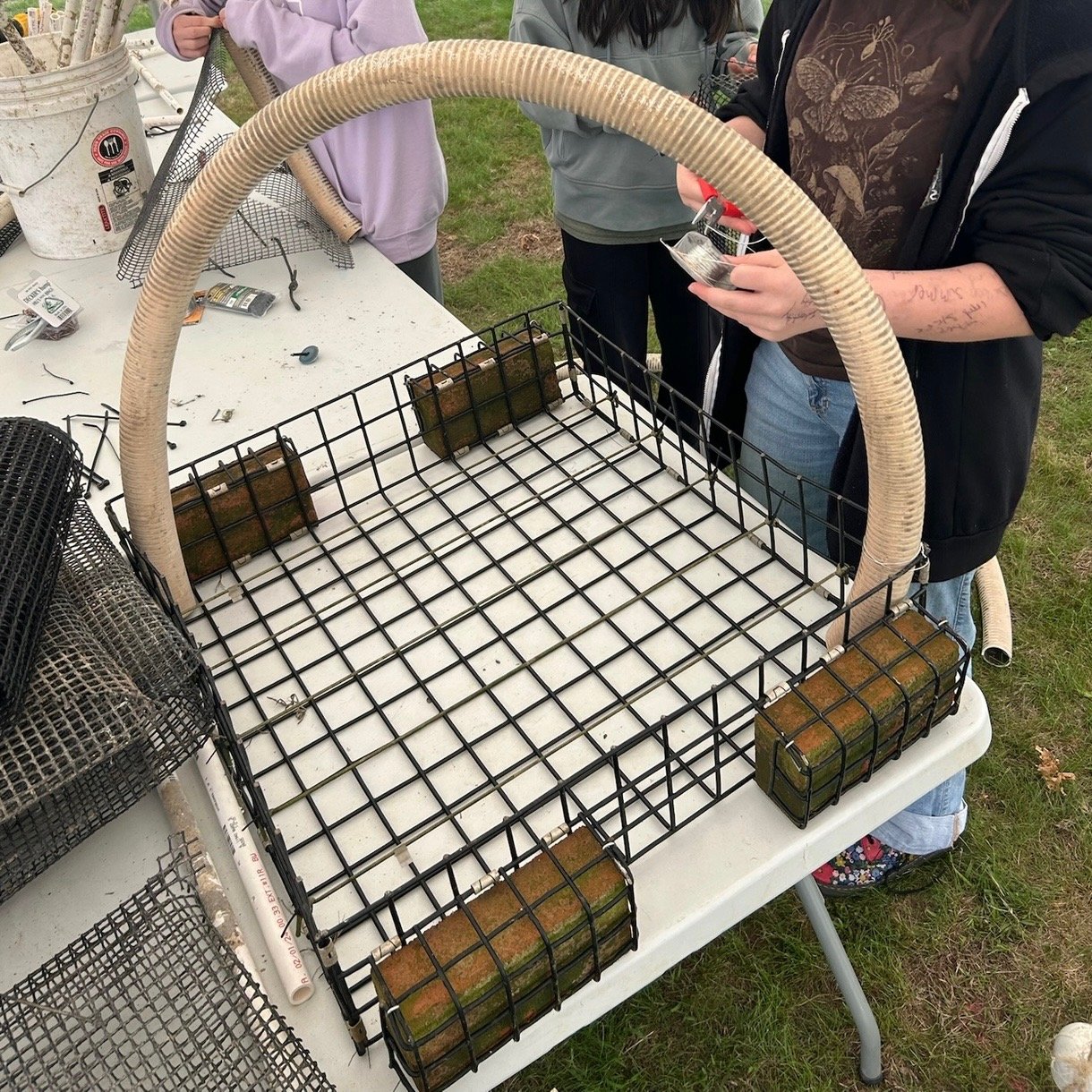 Students Construct Seahorse Hotels- The Southampton Press