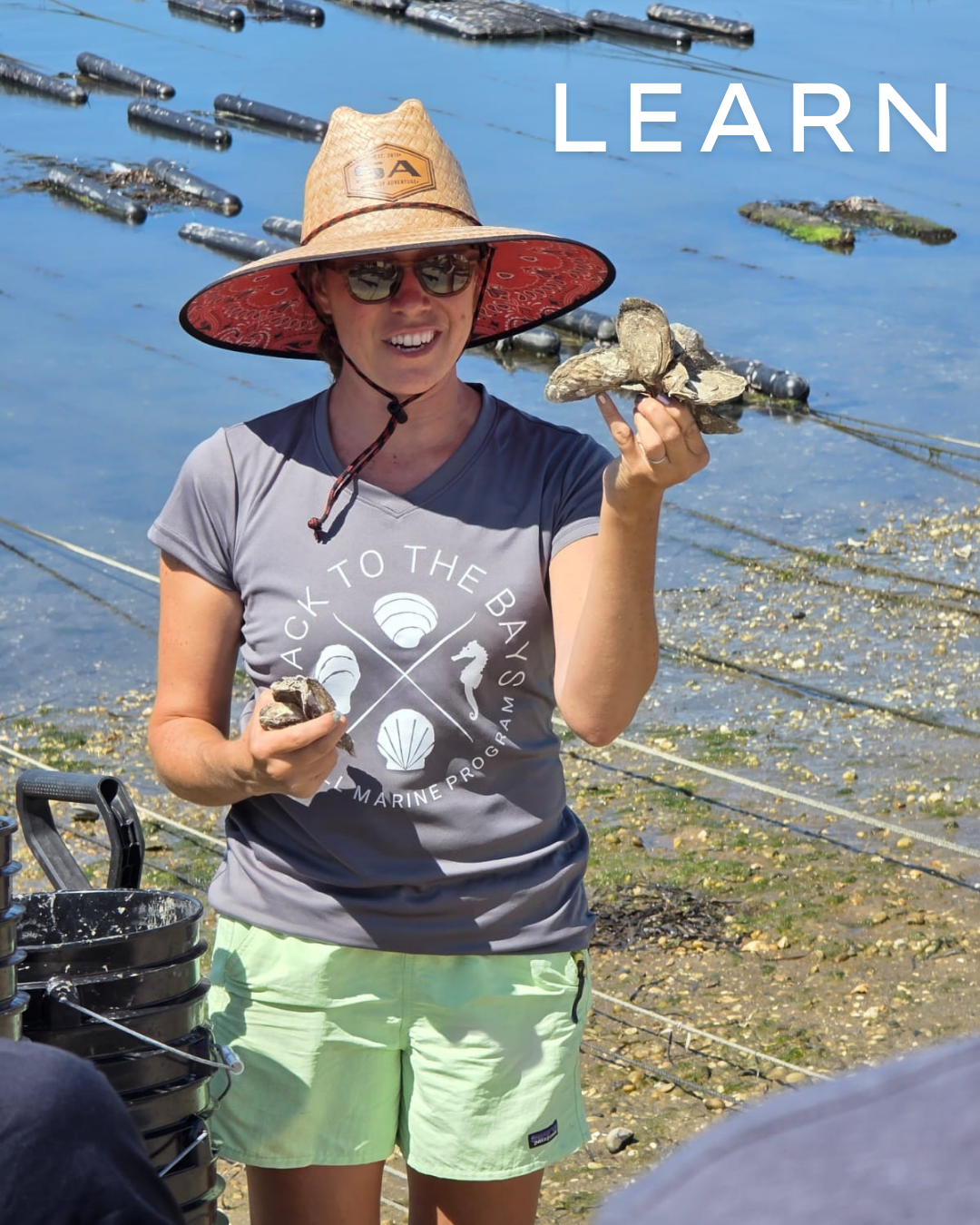 Climate Local Now: Let’s All Be More Like Oysters - East End Beacon
