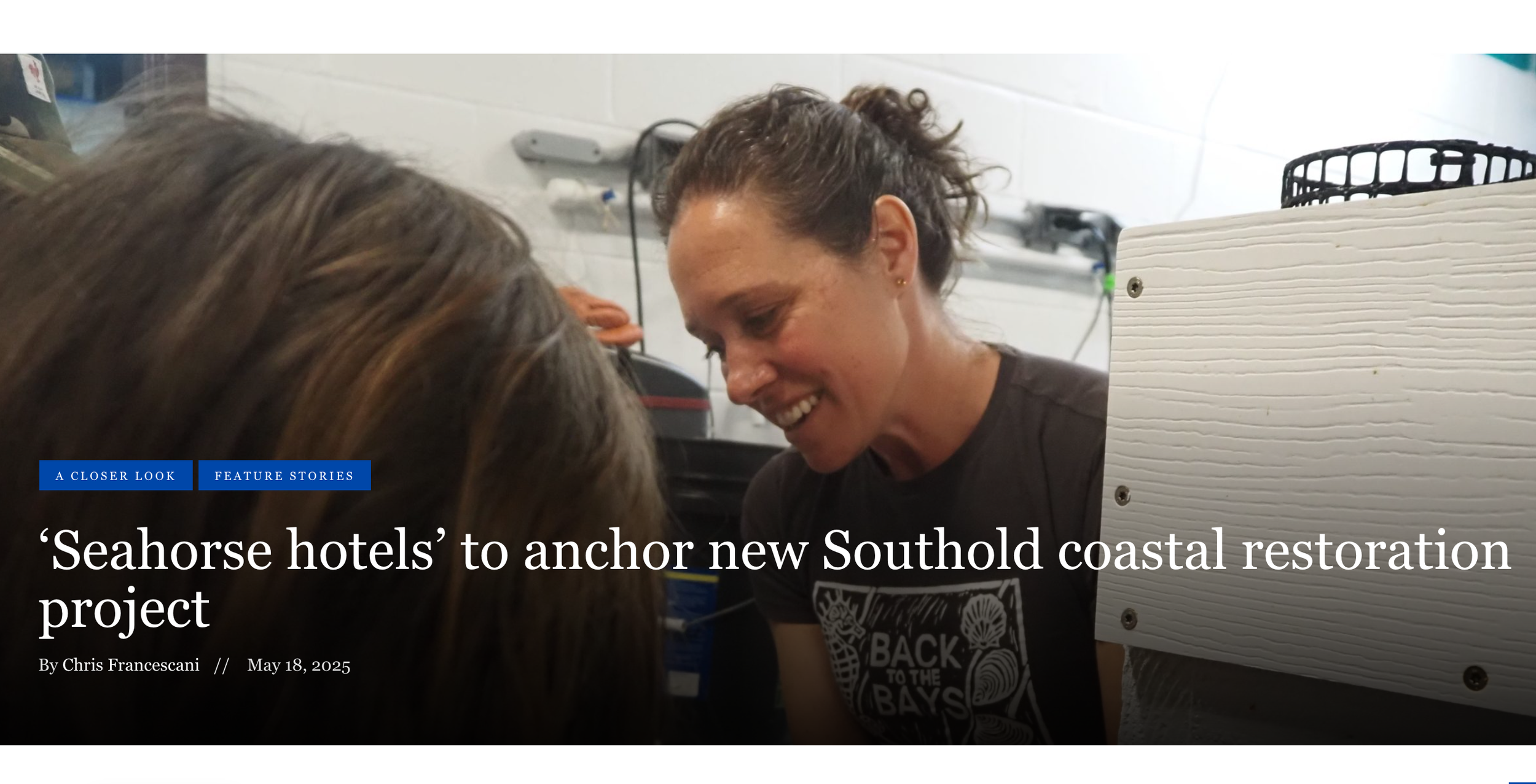 ‘Seahorse hotels’ to anchor new Southold coastal restoration project - North Fork Sun