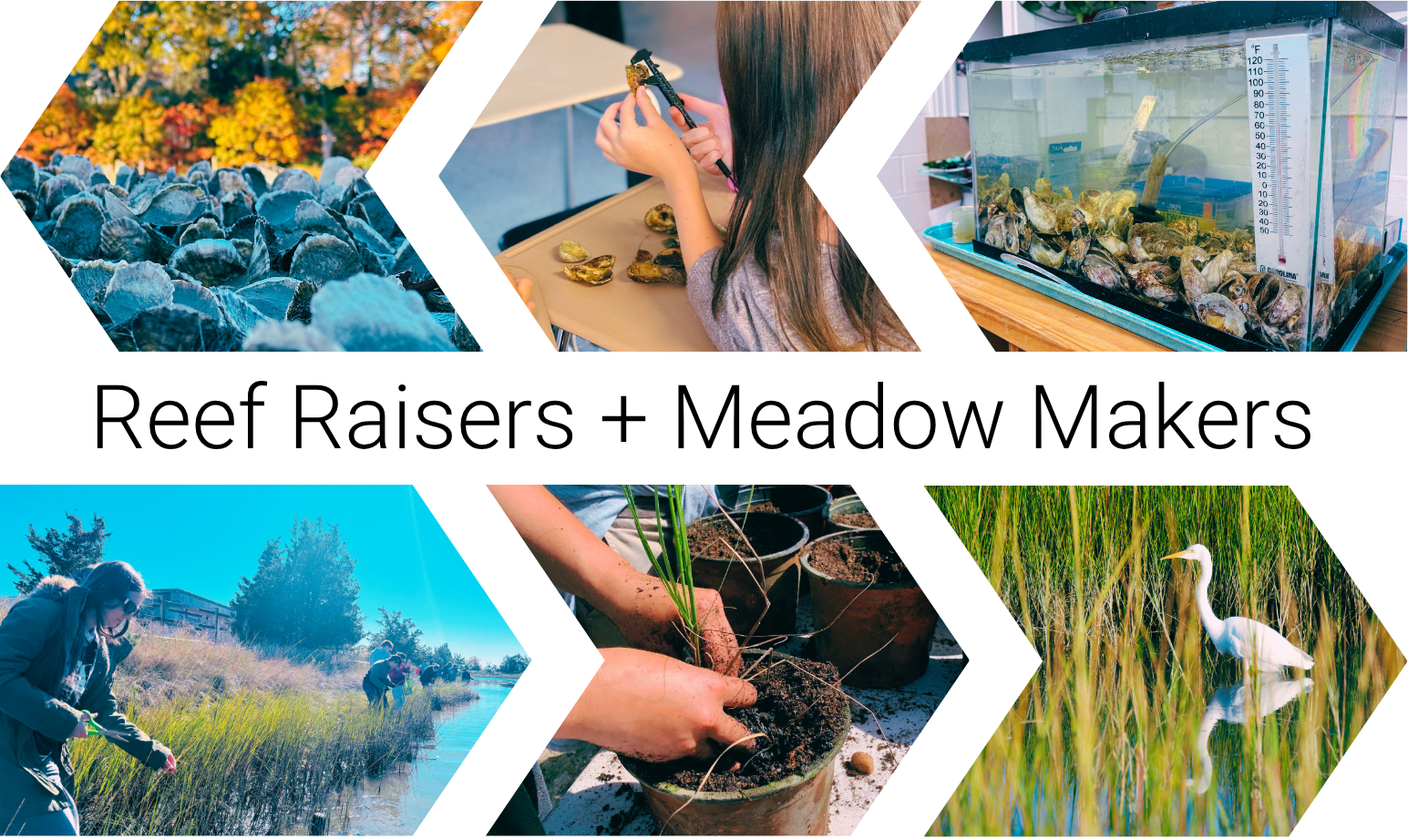 Reef Raisers + Meadow Makers OPEN HOUSE