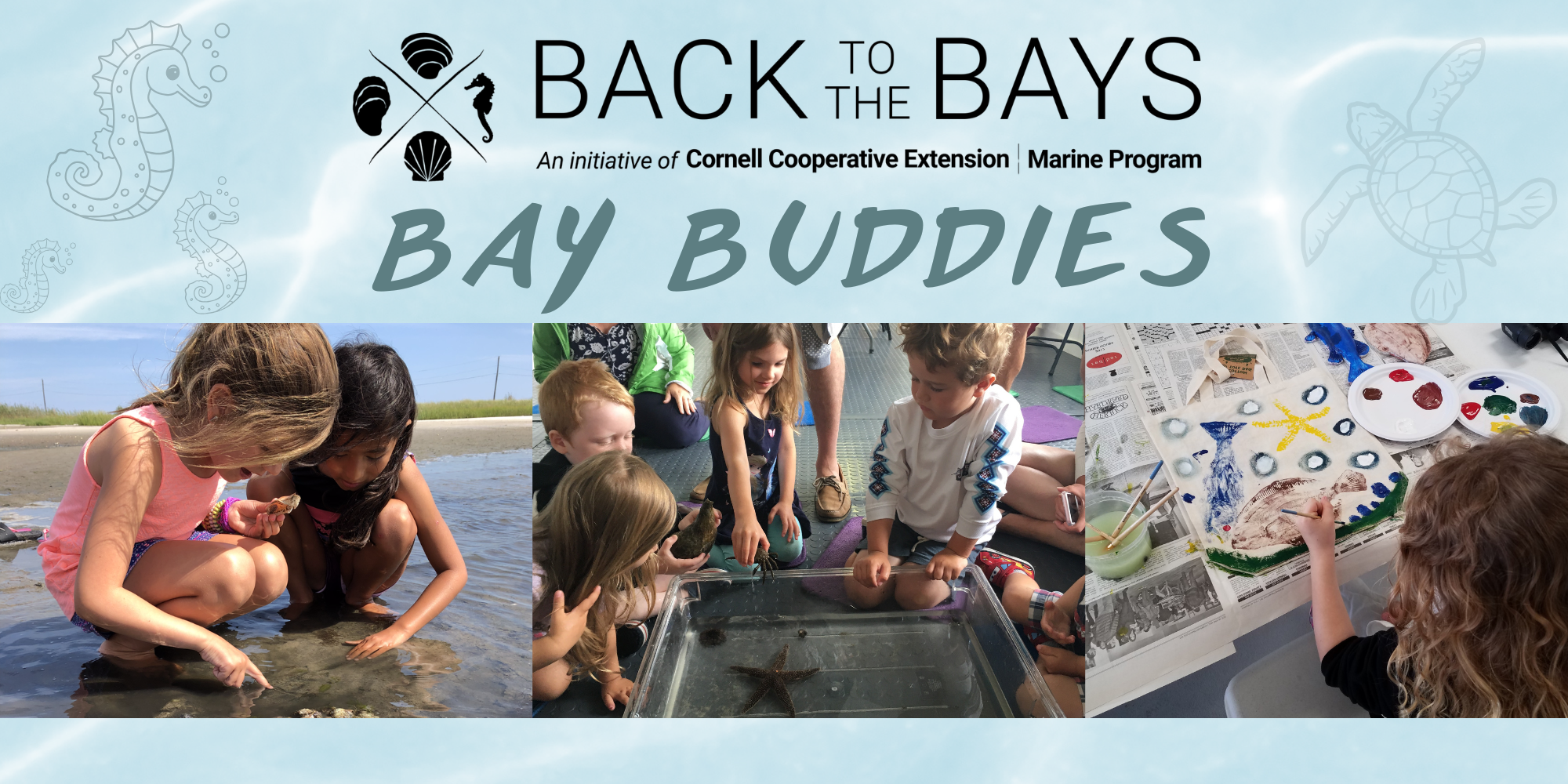 Bay Buddies: Hampton Bays