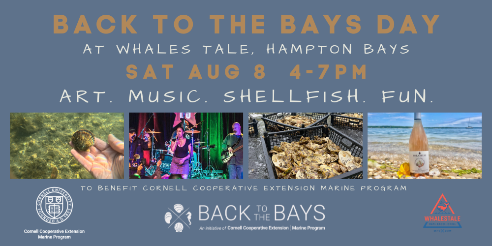 Back to the Bays Day!