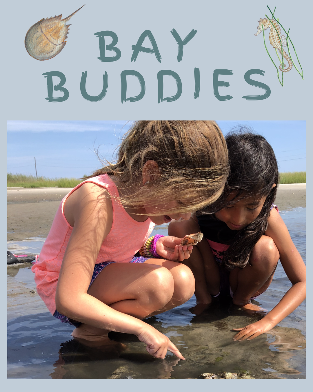 Bay Buddies: Hampton Bays