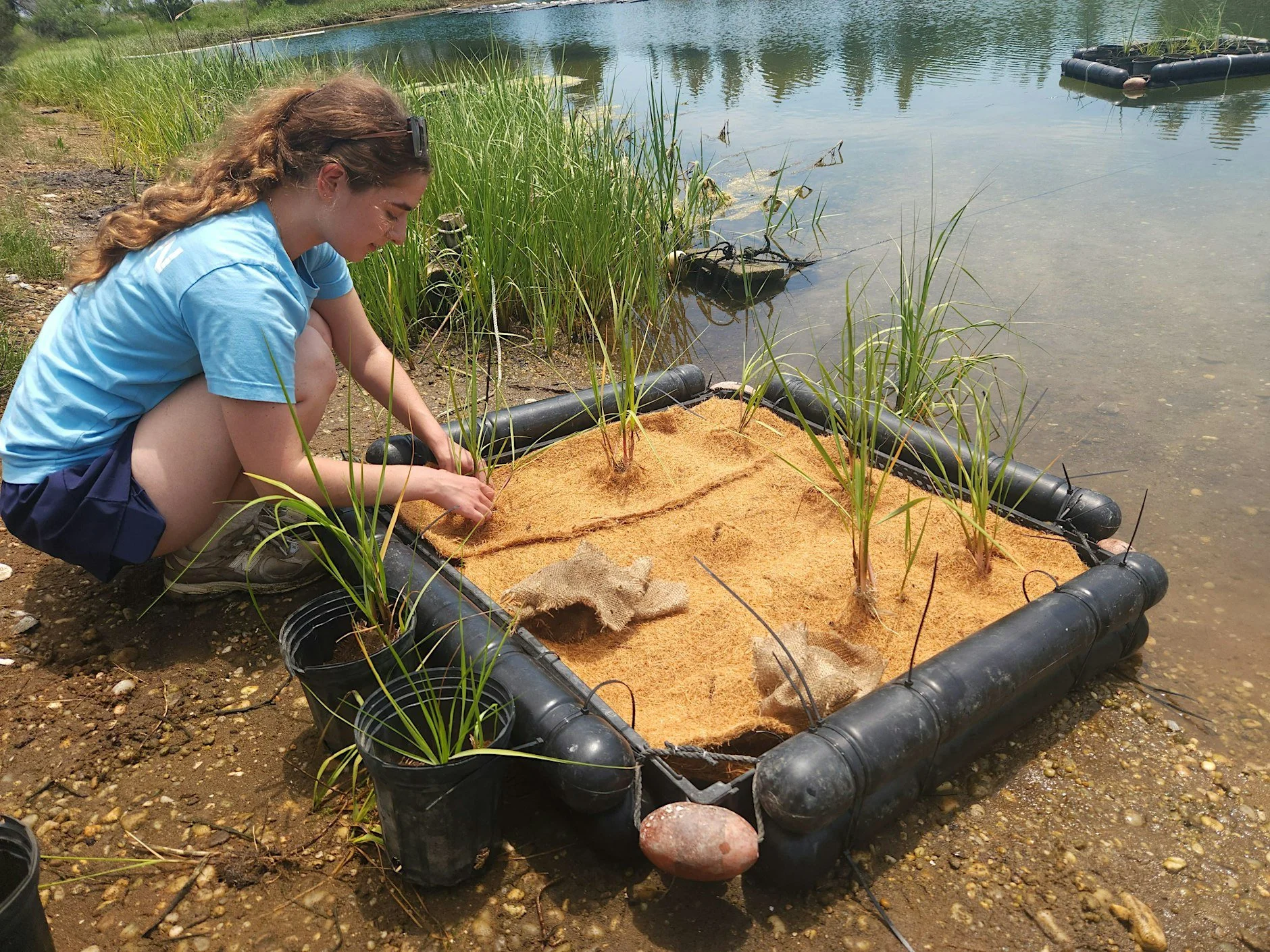 Stewardship Session: Floating Marsh Assembly