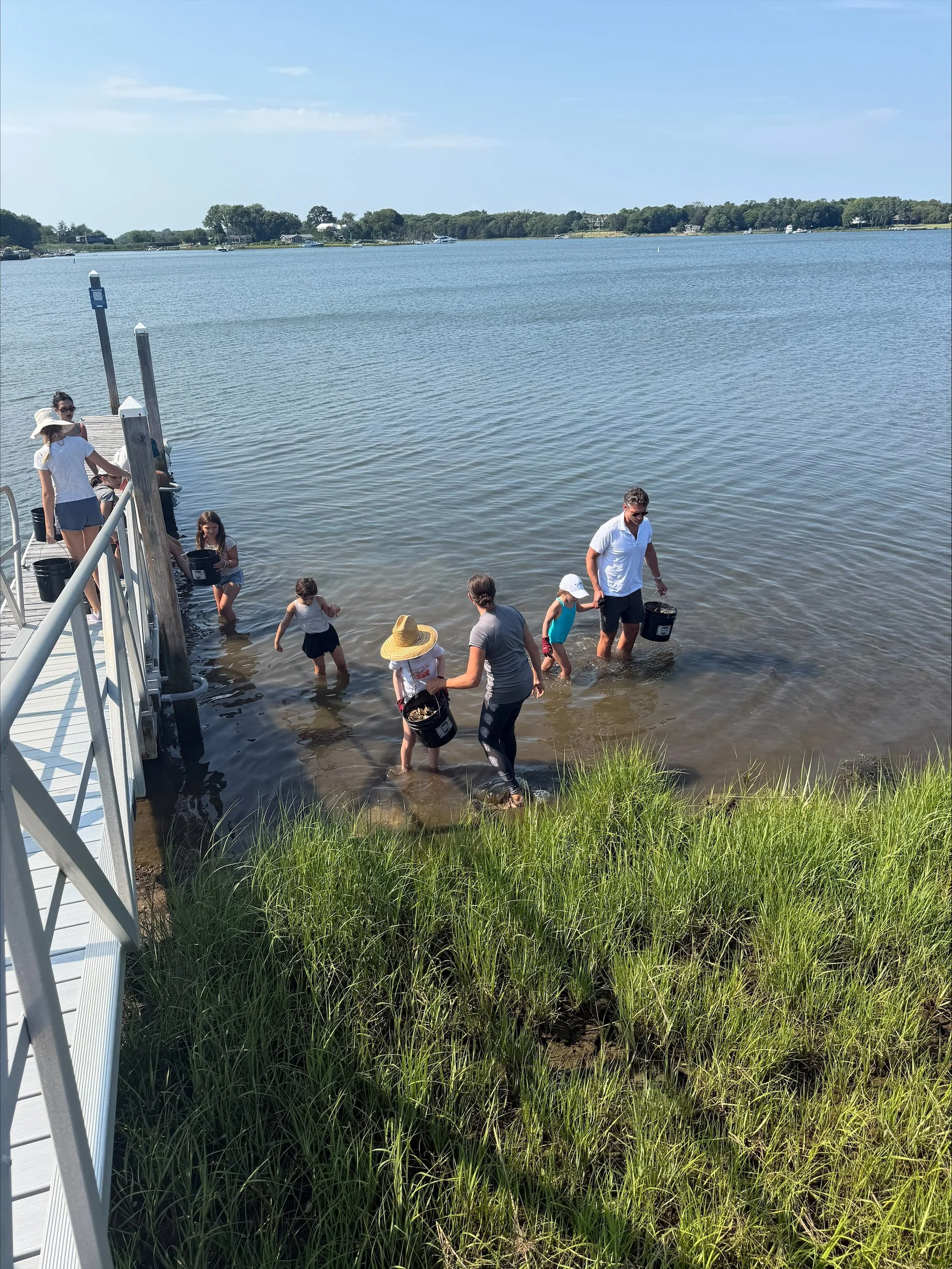Sag Harbor Stewards establish a new Oyster Reef at Redwood Facility