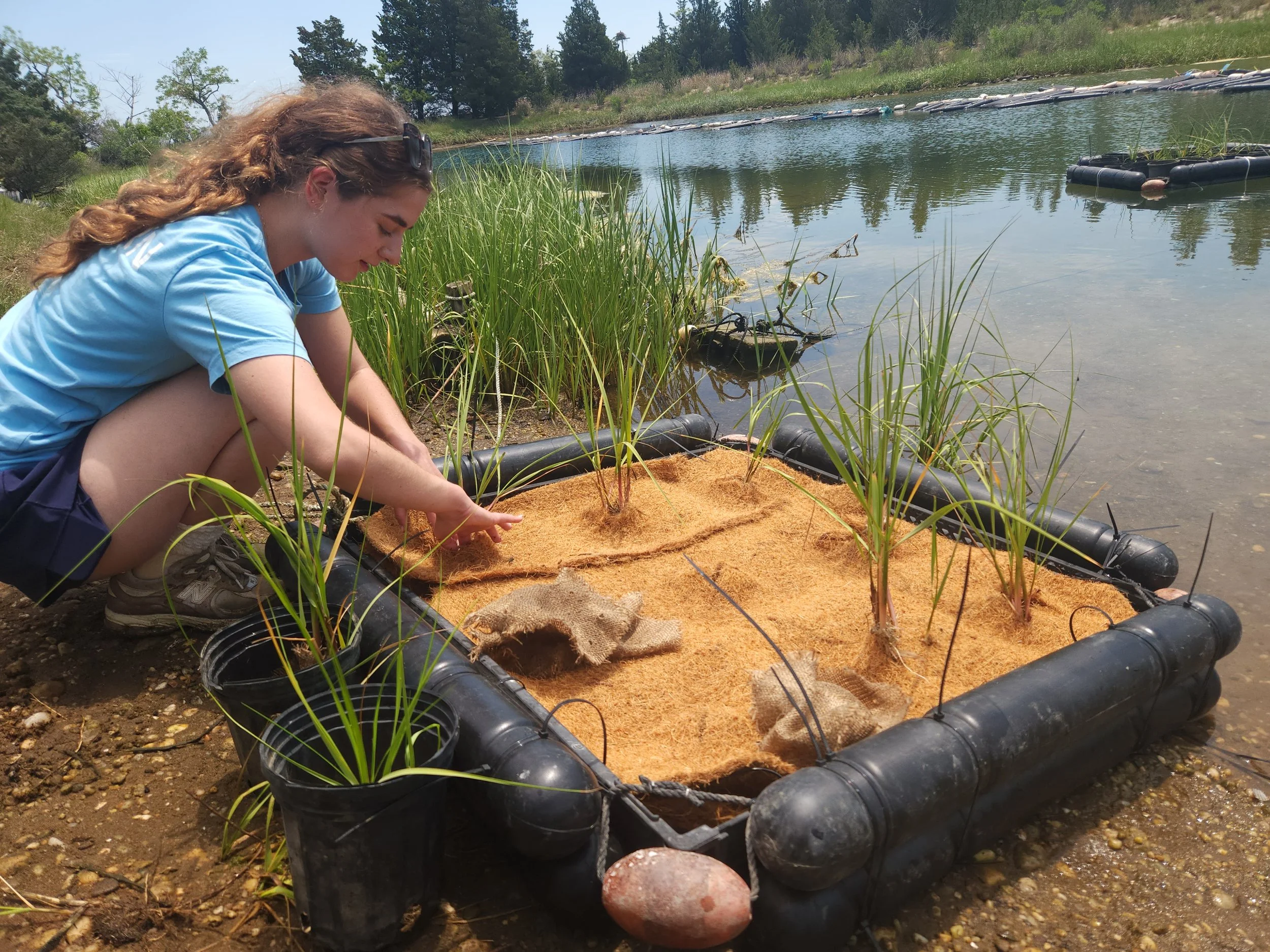 Marsh Restoration Rafts - a summer 2026 intern project
