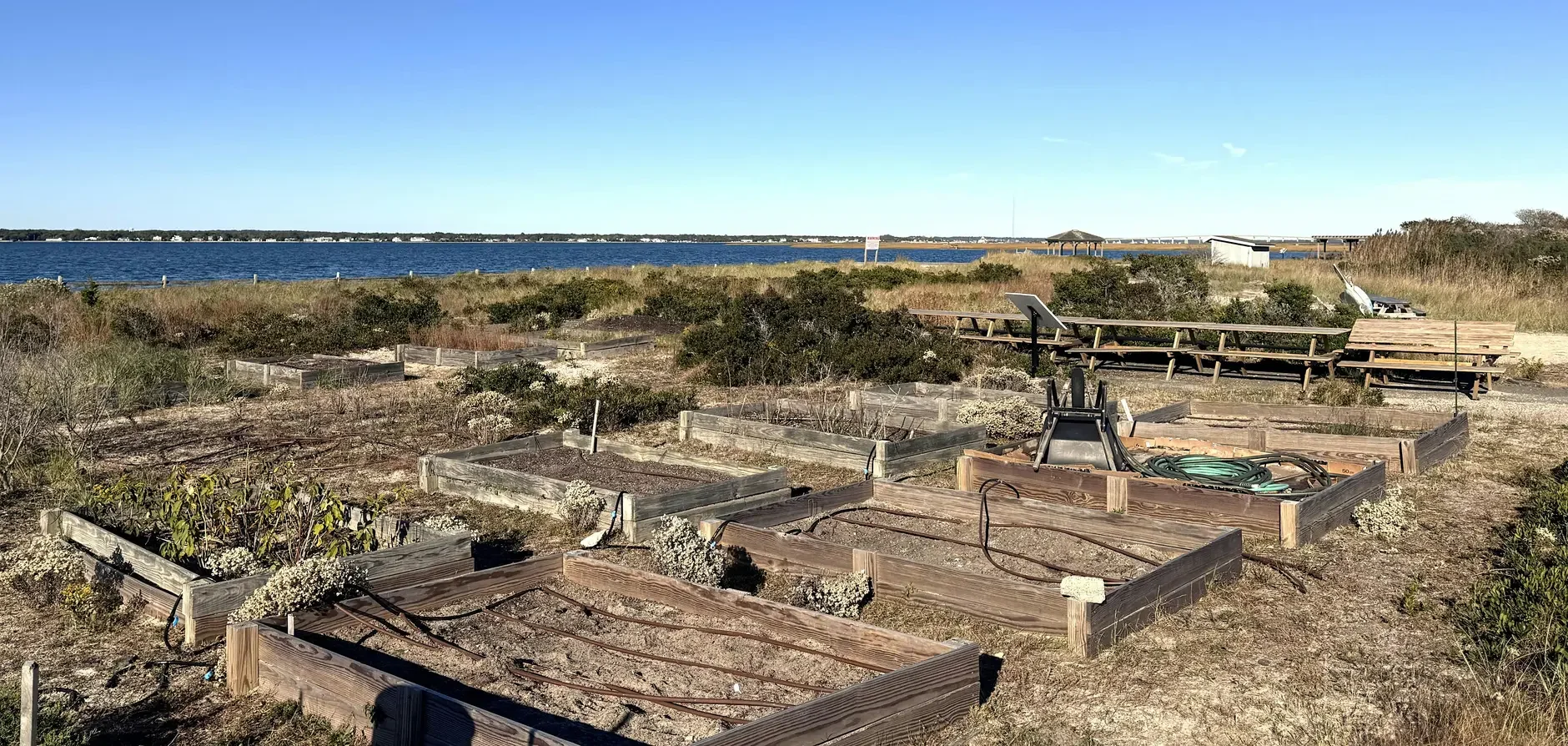 Stewardship Session: Coastal Gardens Workshop, East Quogue