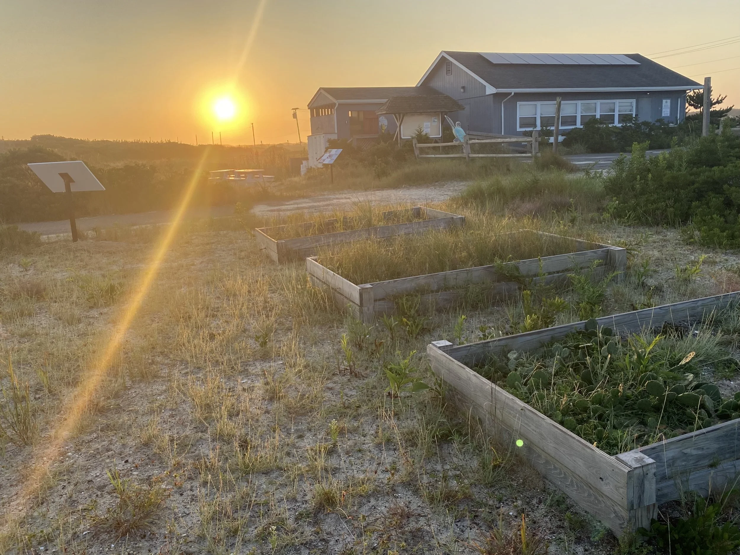 Coastal Gardening at Tiana Bayside