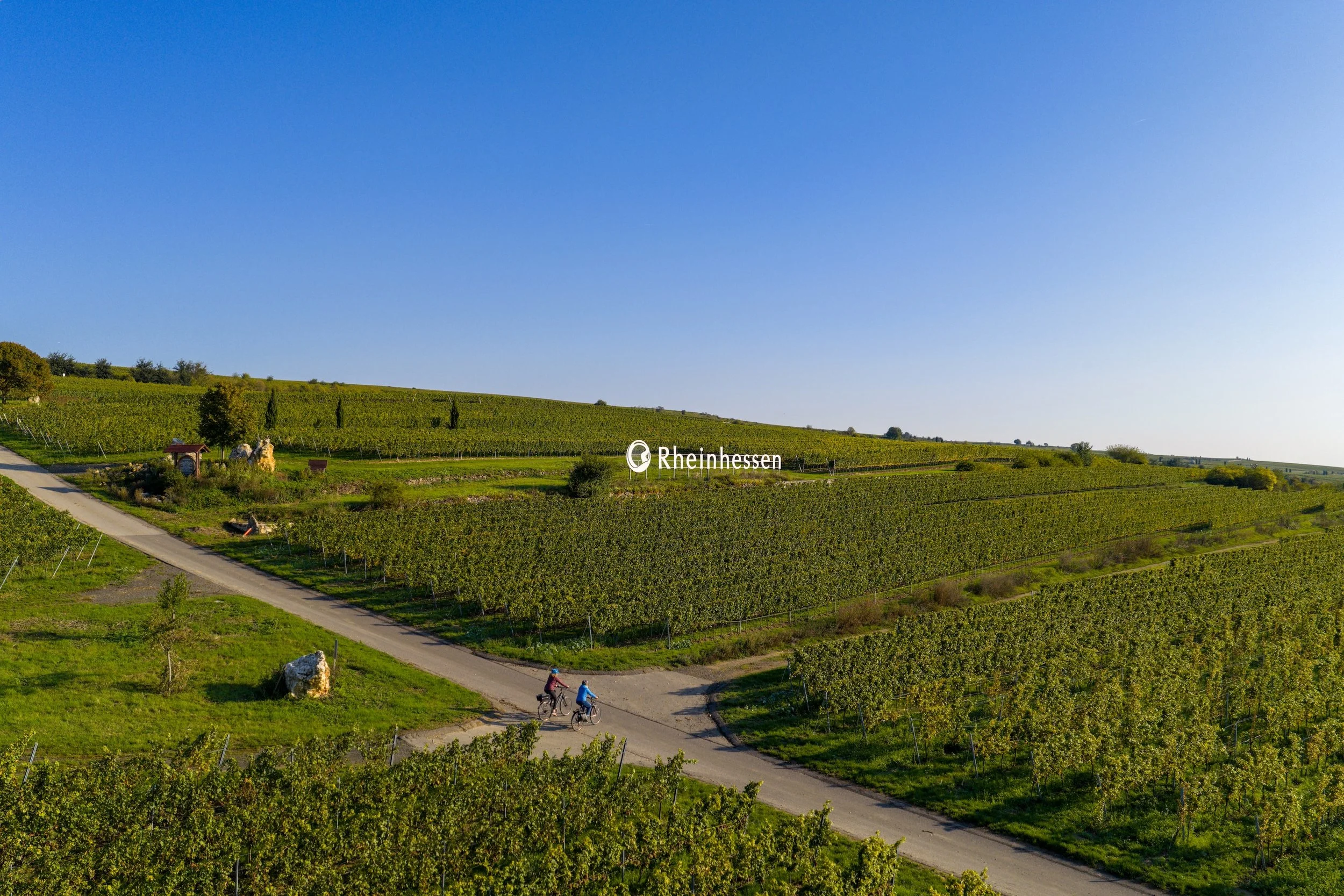 Rheinhessen.jpg