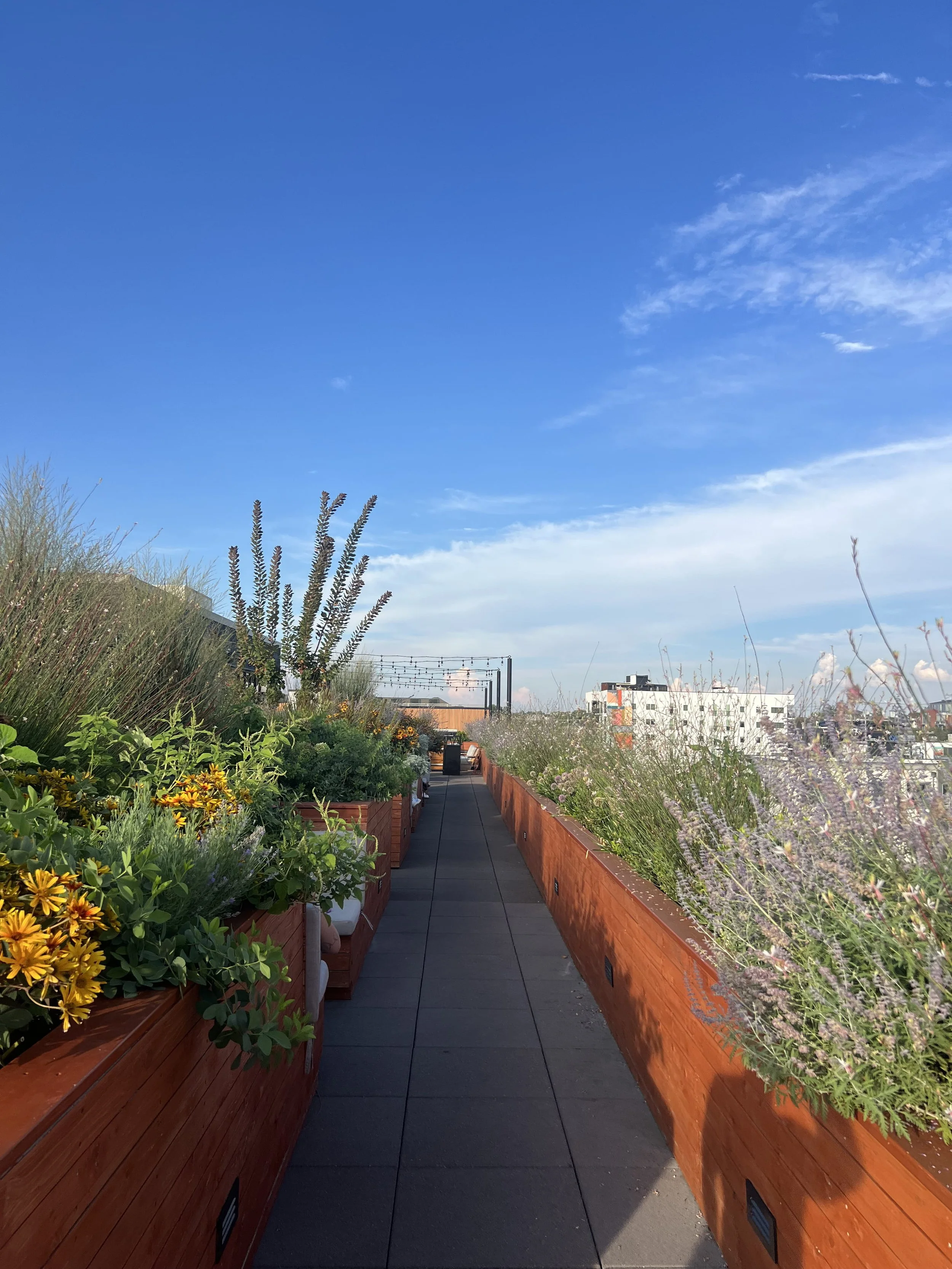 best rooftop in nashville.jpg