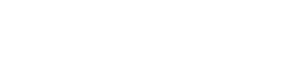 shopify partner certification badge white