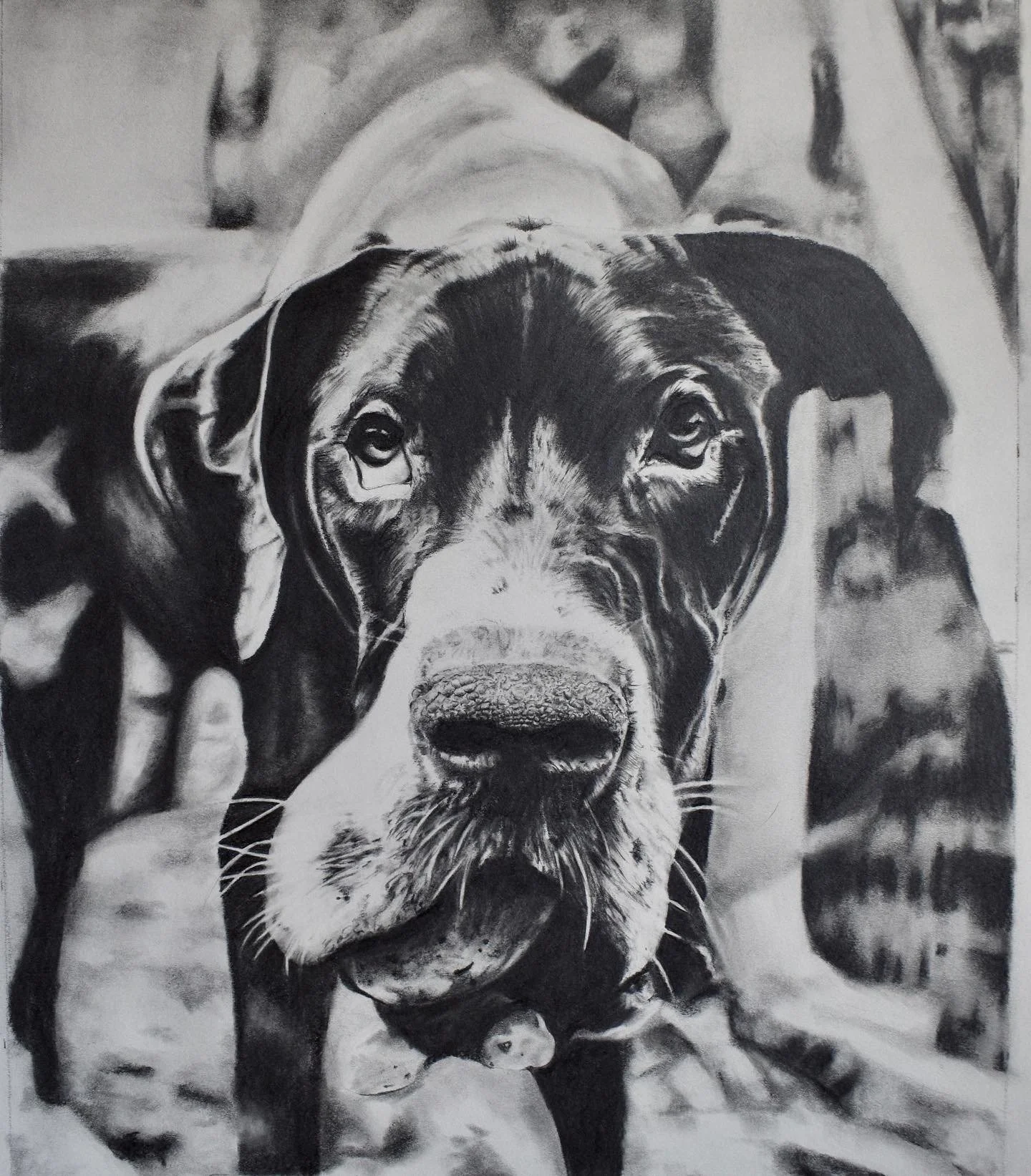 1ABE617A-4F10-4EBF-94BE-A79419A75A6C 2.JPG