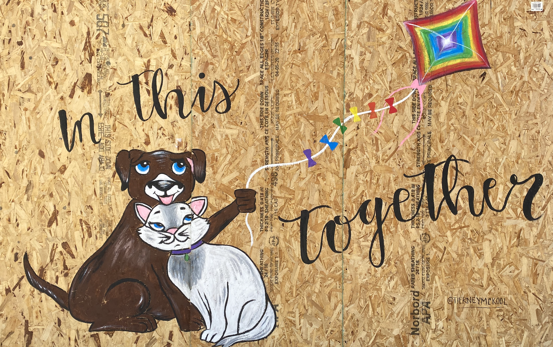 Screen Shot 2023-01-24 at 9.22.32 AM.png