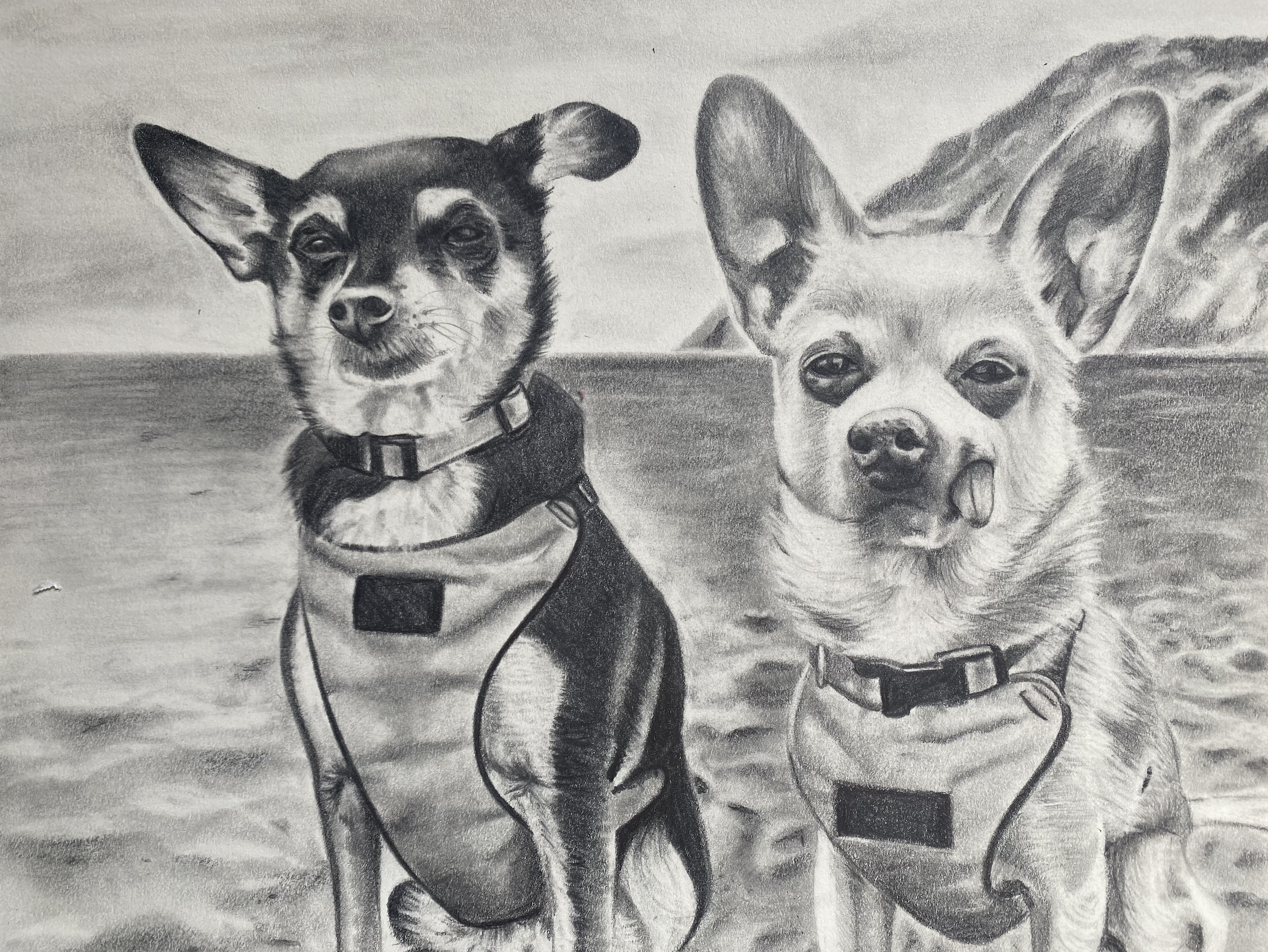 Screen Shot 2023-01-23 at 1.45.23 PM.png