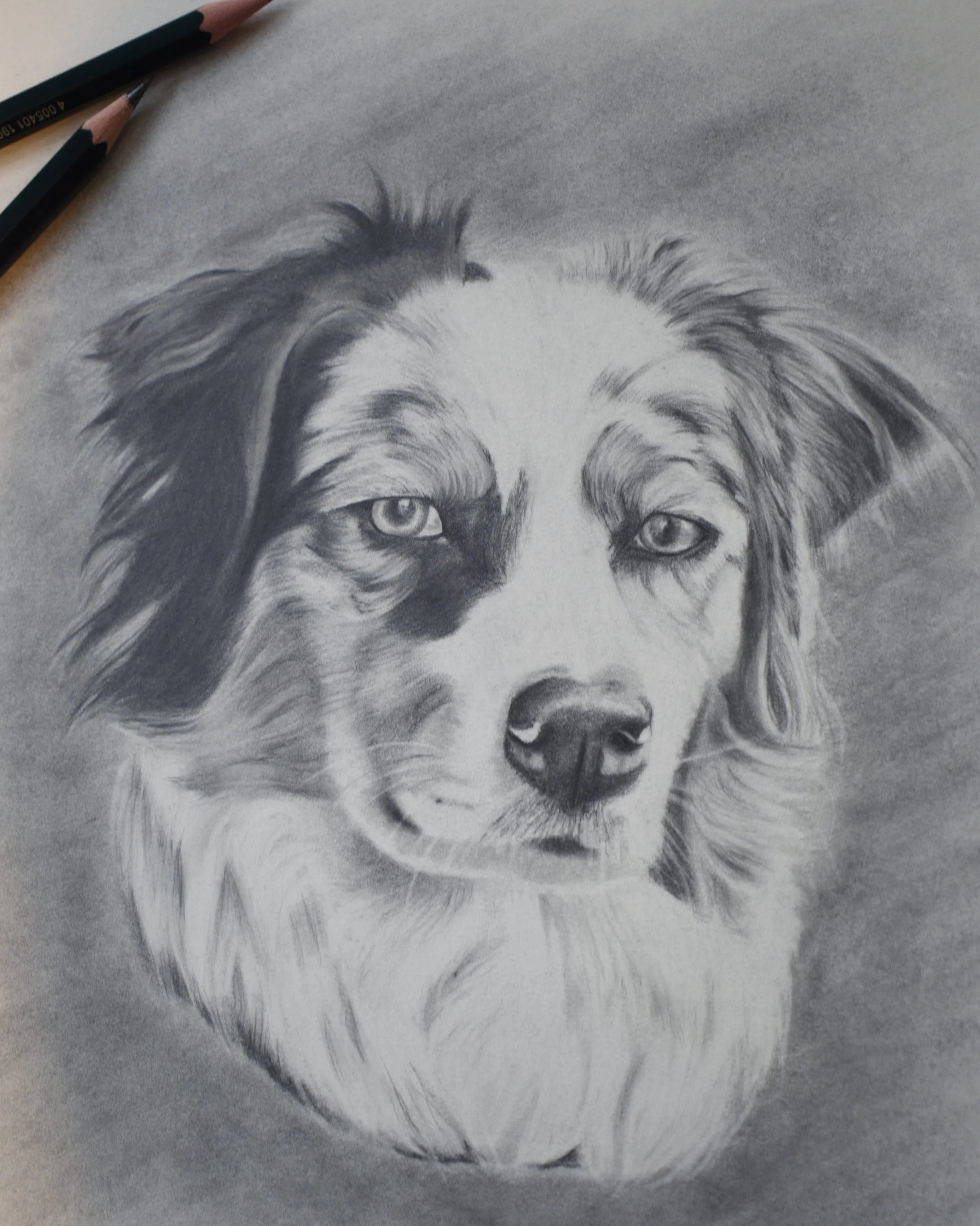 31B5034C-CC0E-4DE0-85DE-FD1D99B52335 2.JPG