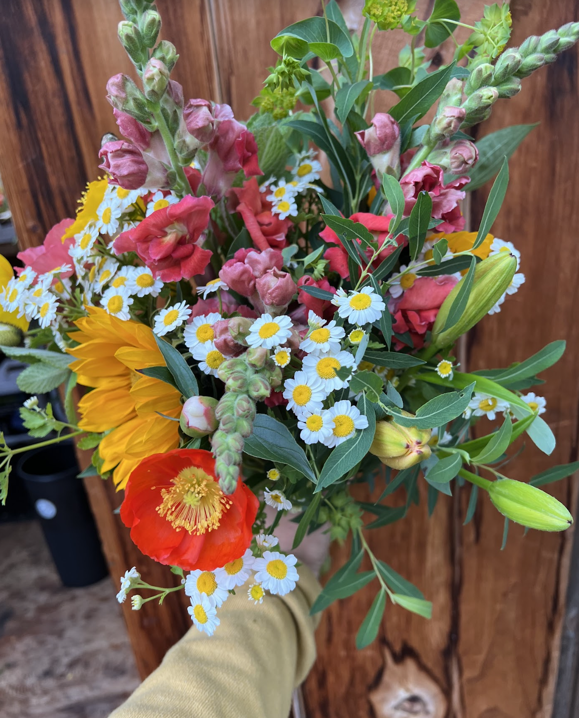 early spring blooms