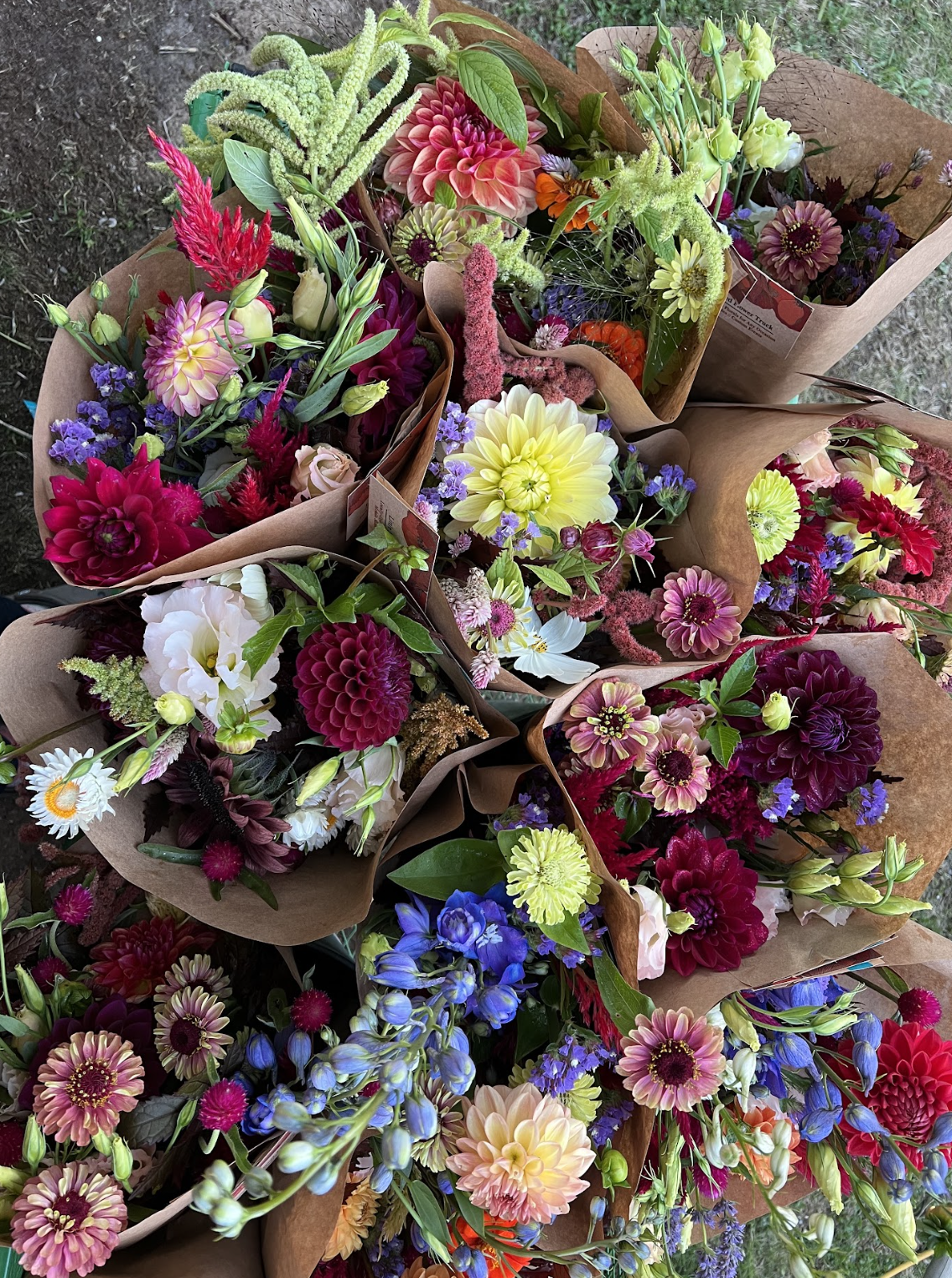 Screen Shot 2023-03-14 at 12.15.15 PM.png