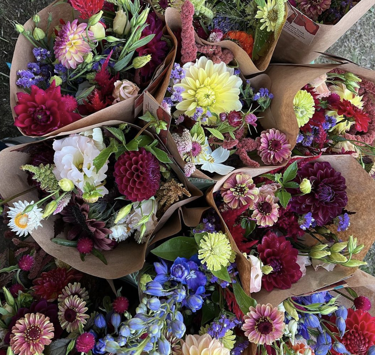 Screen Shot 2023-01-30 at 10.35.24 AM.png