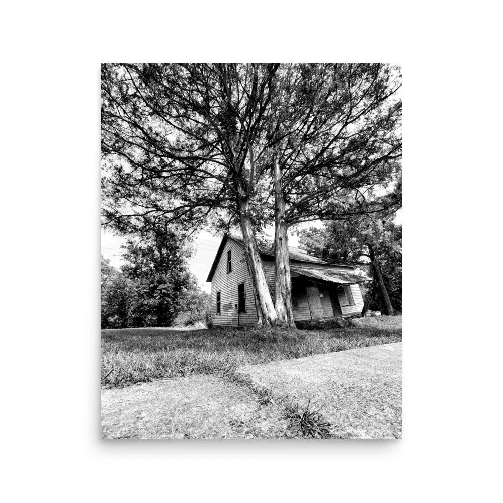 enhanced-matte-paper-poster-(in)-16x20-front-63d166149e787.jpg