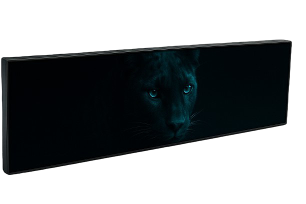 A rectangular display with an image of a lion's face, partially visible in dark lighting.