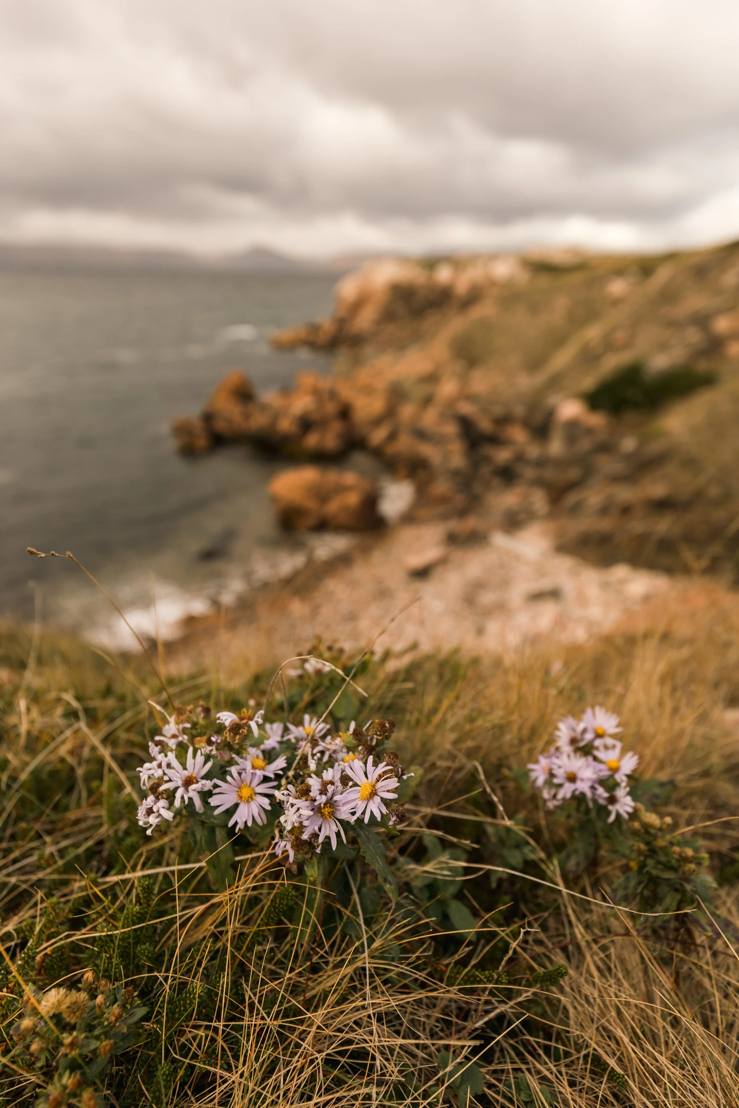 _MG_7938.jpg