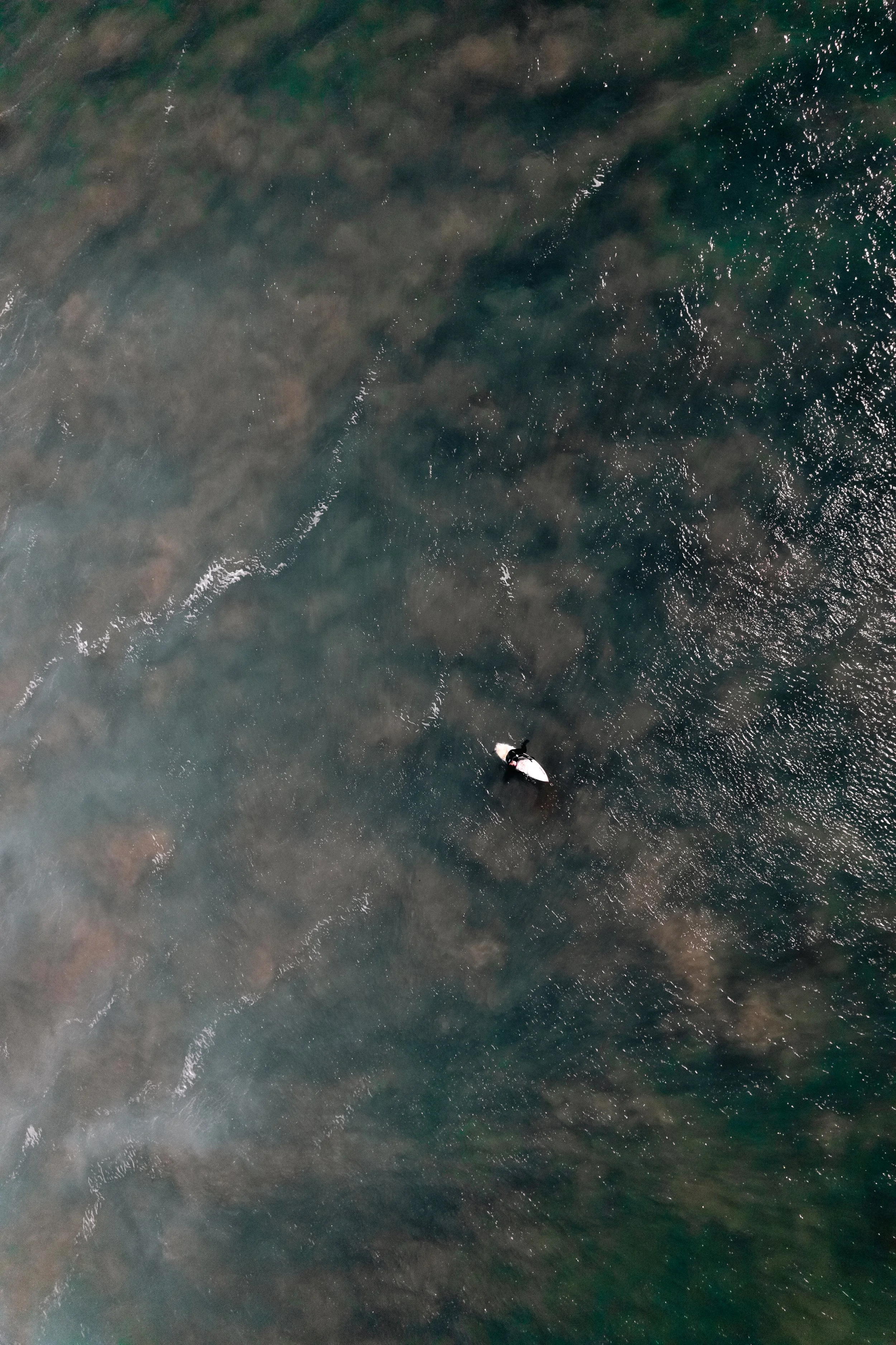 DJI_0060.jpg