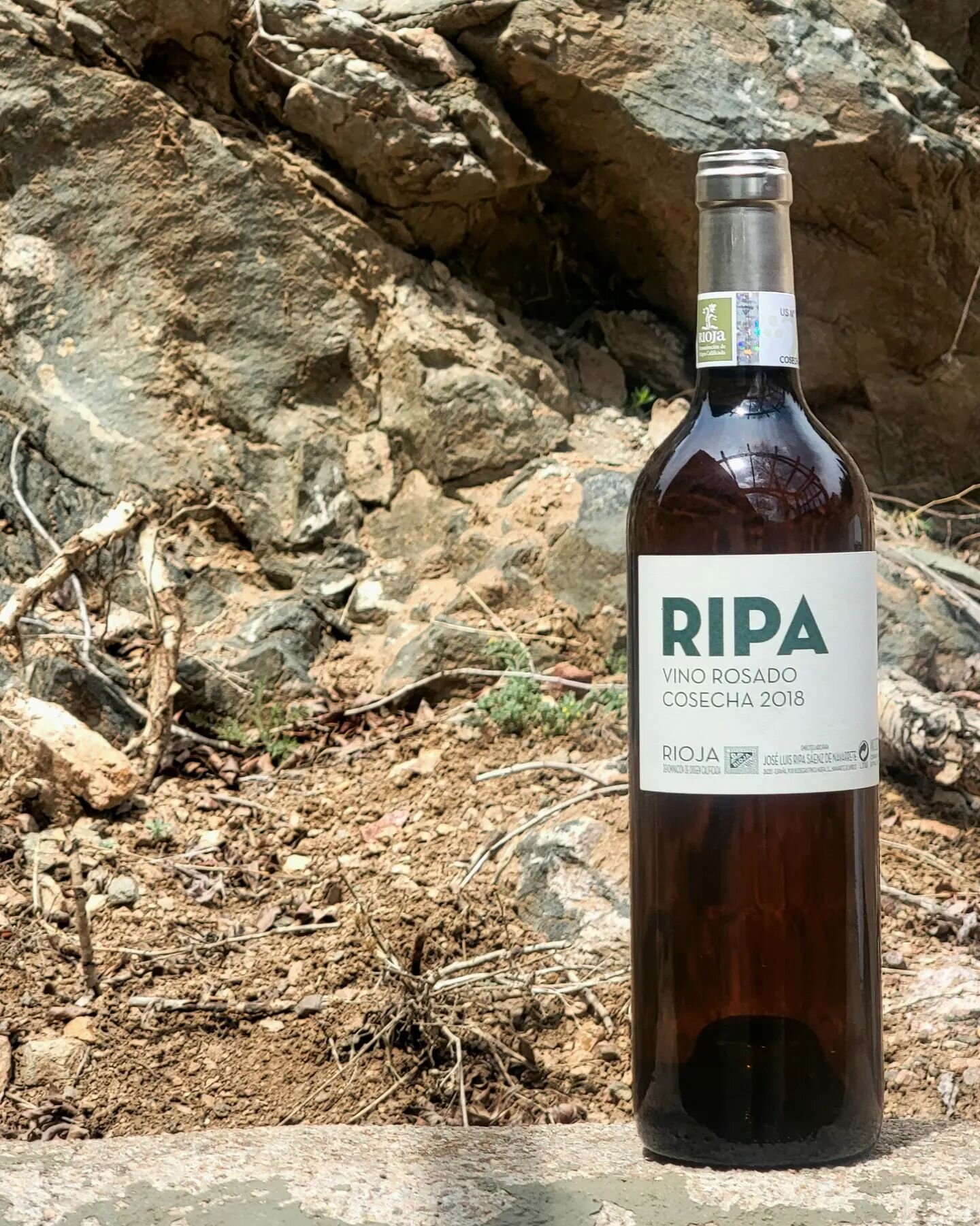 💥It's an exciting day at Piney!💥
___________________________

Jos&eacute; Luis' Ripa Rioja Vino Rosado is
a crowning achievement in Ros&eacute;
winemaking. From placement in
stainless steel vats, a bleeding
process, and fermentation in French
oak c