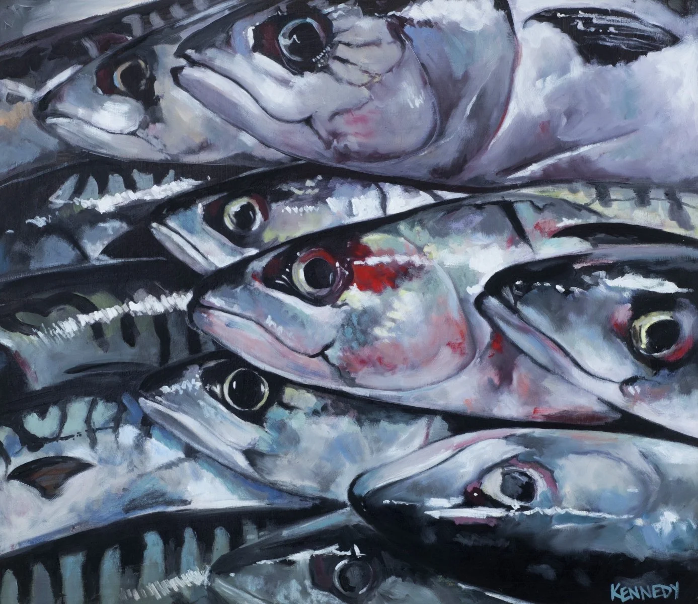 Mackerel-Paul-Kennedy.jpg