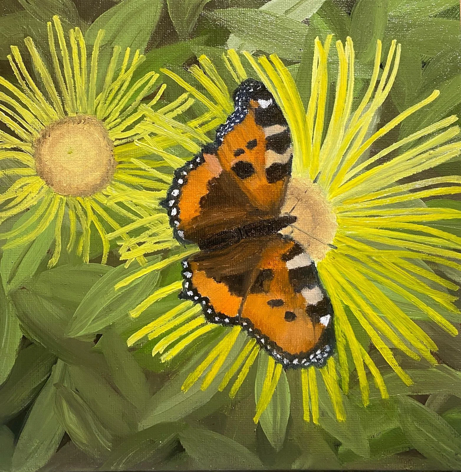 WhatsApp Image 2026-01-29 at 18.21.55.jpeg