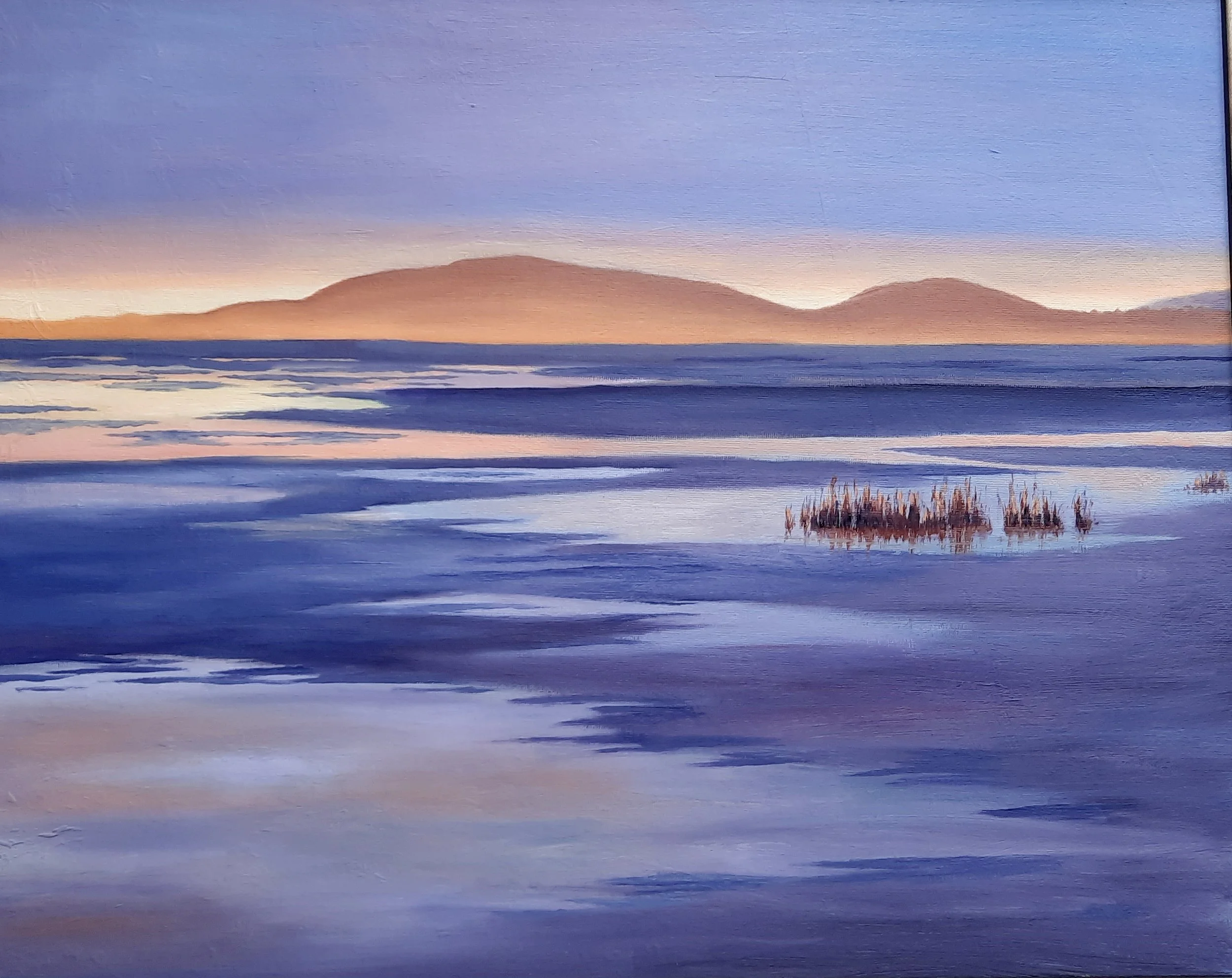 Mersehead Sunset