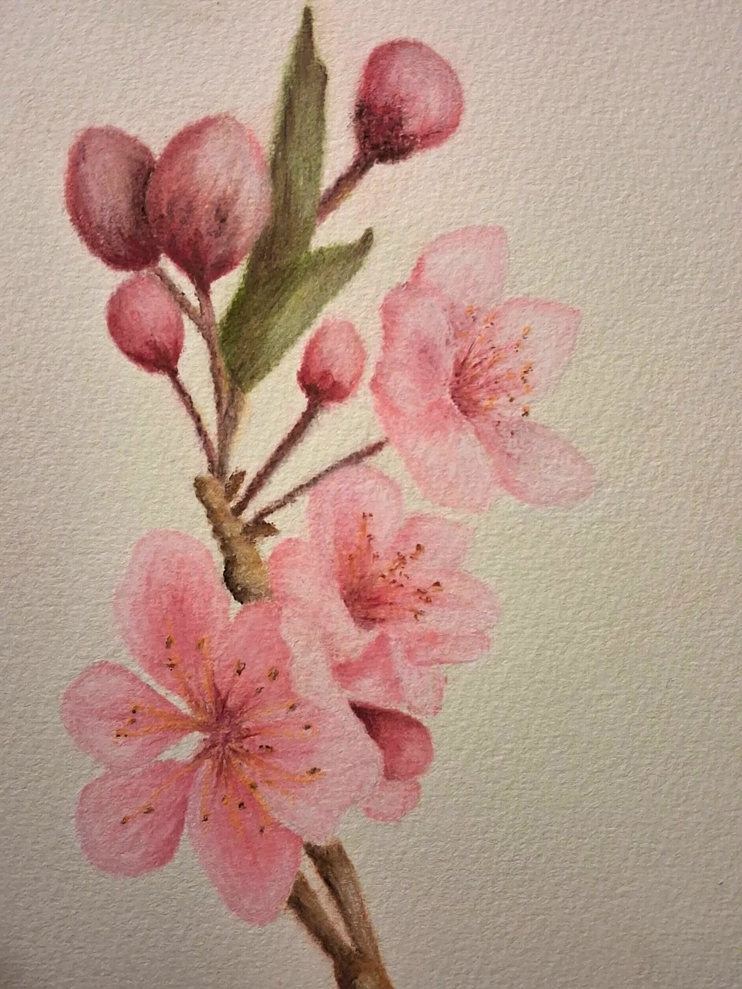 WhatsApp Image 2026-01-29 at 18.53.45.jpeg