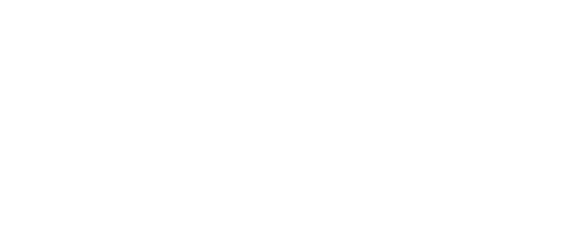 Southern Wired