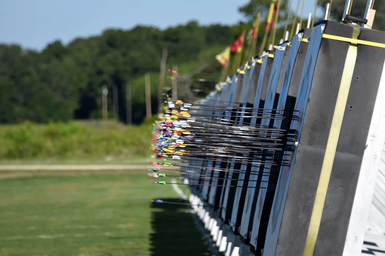 Divisions & Formats — National Archery Scholarship Tour