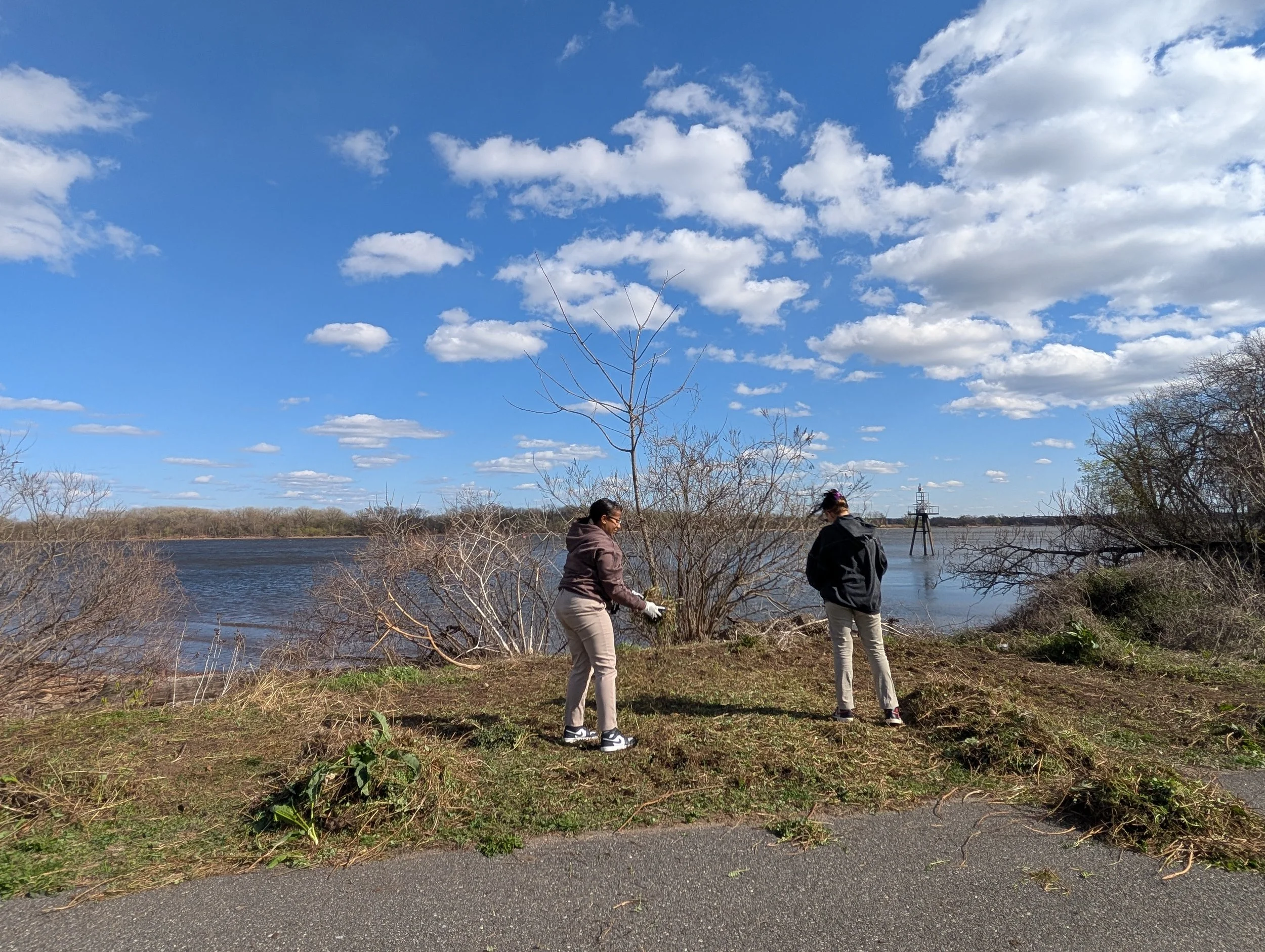PXL_20250408_201946957.jpg