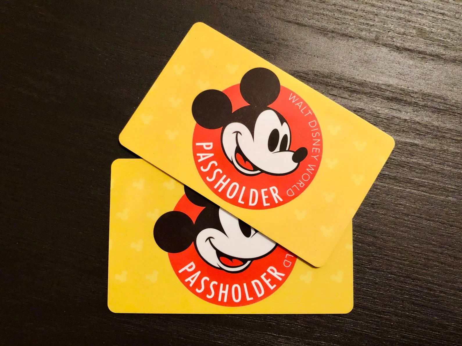 Walt Disney World Annual Pass Is it Worth it in 2024?