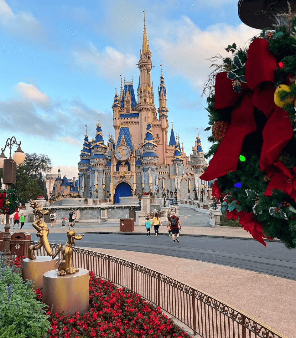 Disney World November 2024 Guide Tips, Weather, and Events Disney World November 2024 Guide Tips, Weather, and Events