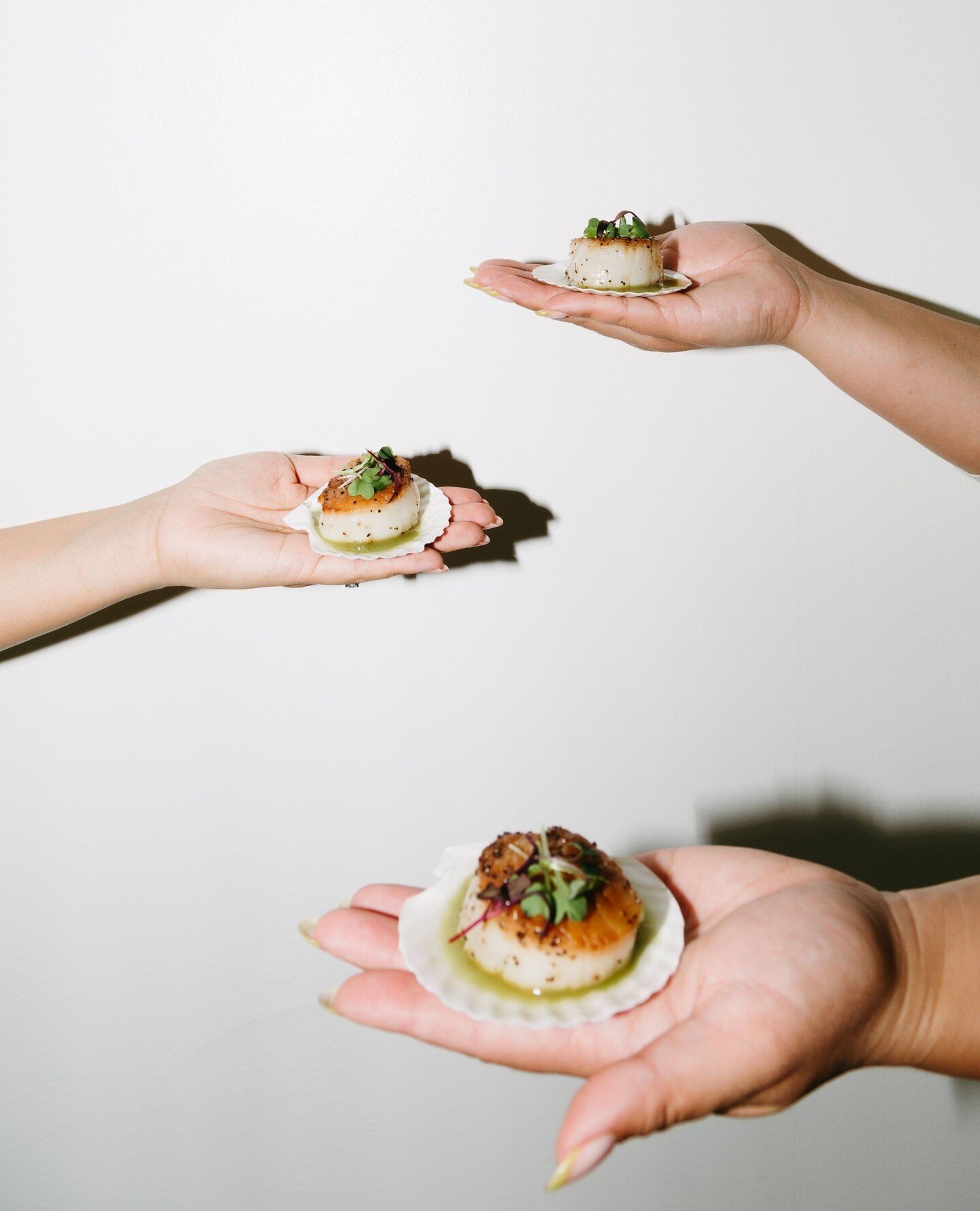 Say shell-o to our Seared Sea Scallops- served with aguachile + micro greens on a seashell 🐚✨⁠
⁠
Vendors⁠
Design | @lunawilddesign⁠
Photo | @zoeisabelphotography⁠
Drapery | @questevents_socal⁠
Florals | @levantlane⁠
Tabletop | @catalogatelier⁠
Paper