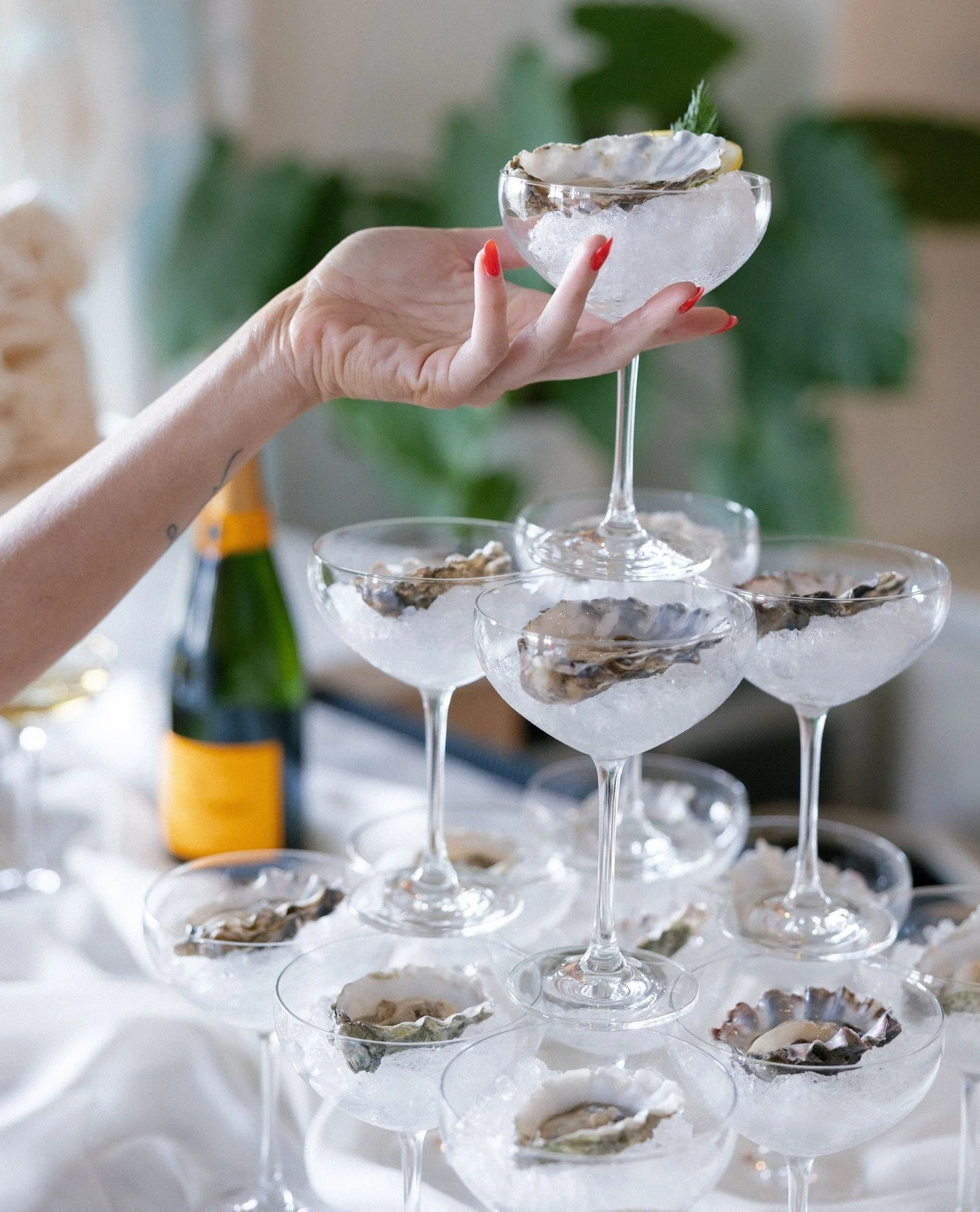 Just a little oyster tower moment 🦪✨⁠
⁠
⁠
Planner + Designer: @evermorevent⁠
Venue: @jeuneperche⁠
Catering: @coastcatering⁠
Cake: @cakestocelebrate⁠
Photography: @justincritzphotography⁠
Content Creator: @lovenotemedia⁠
Florals: @lovelypeoniesfloral