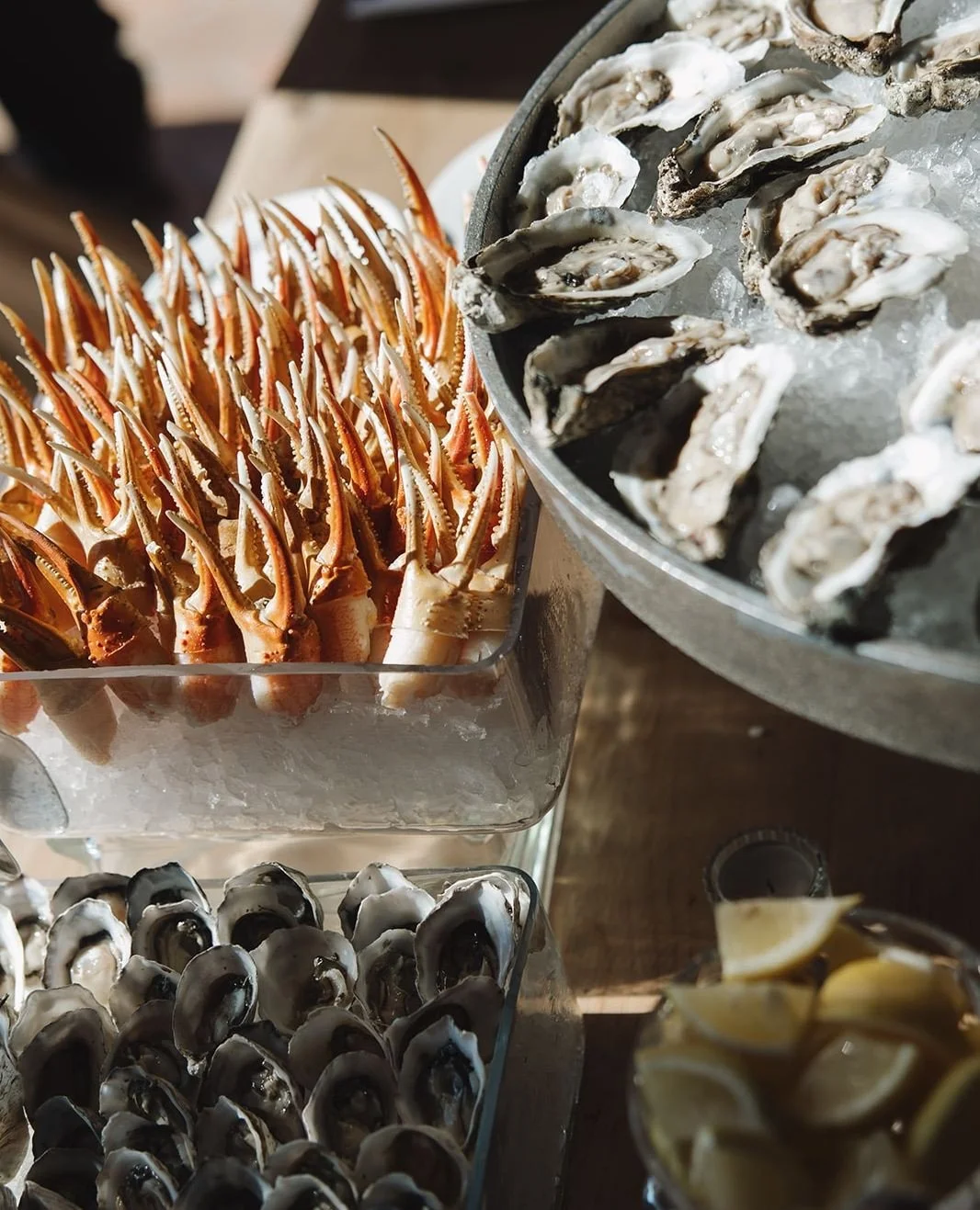 Our Ocean Display brings a taste of the sea to cocktail hour with cracked stone crab claws, jumbo prawns, and a beautiful selection of East Coast &amp; West Coast oysters 🦪⁠
⁠
⁠
Planning | @blissevent_korie @blissevent⁠
Photo | @dehaanphoto⁠
Video |