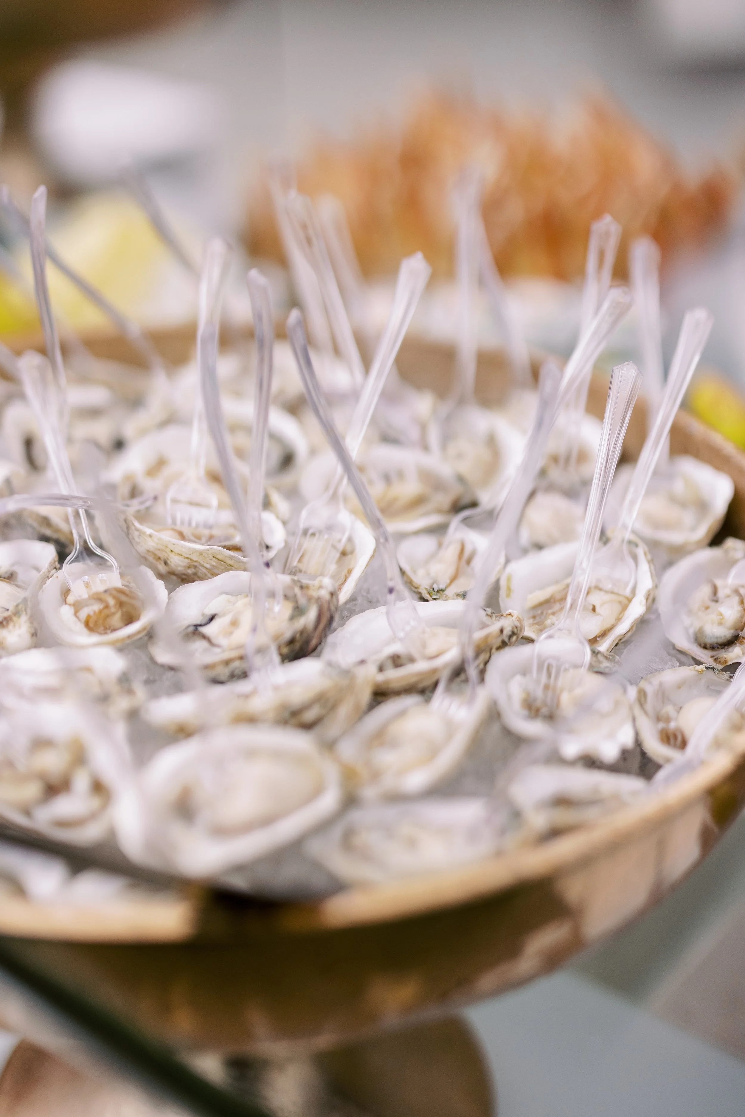 Ocean Display - Oysters on the half shell.jpg