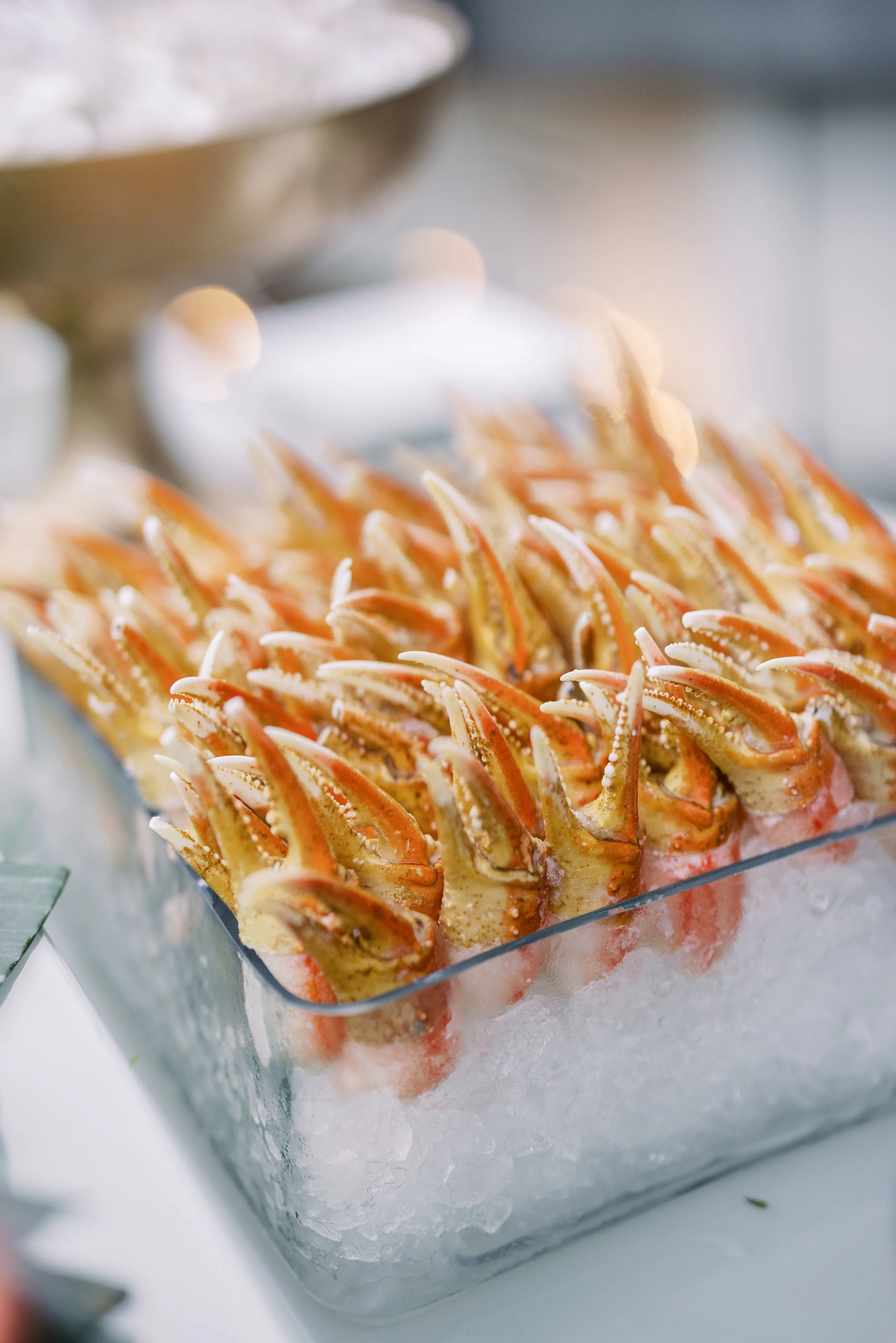 Ocean Display - Cracked Stone Crab Claws.jpg