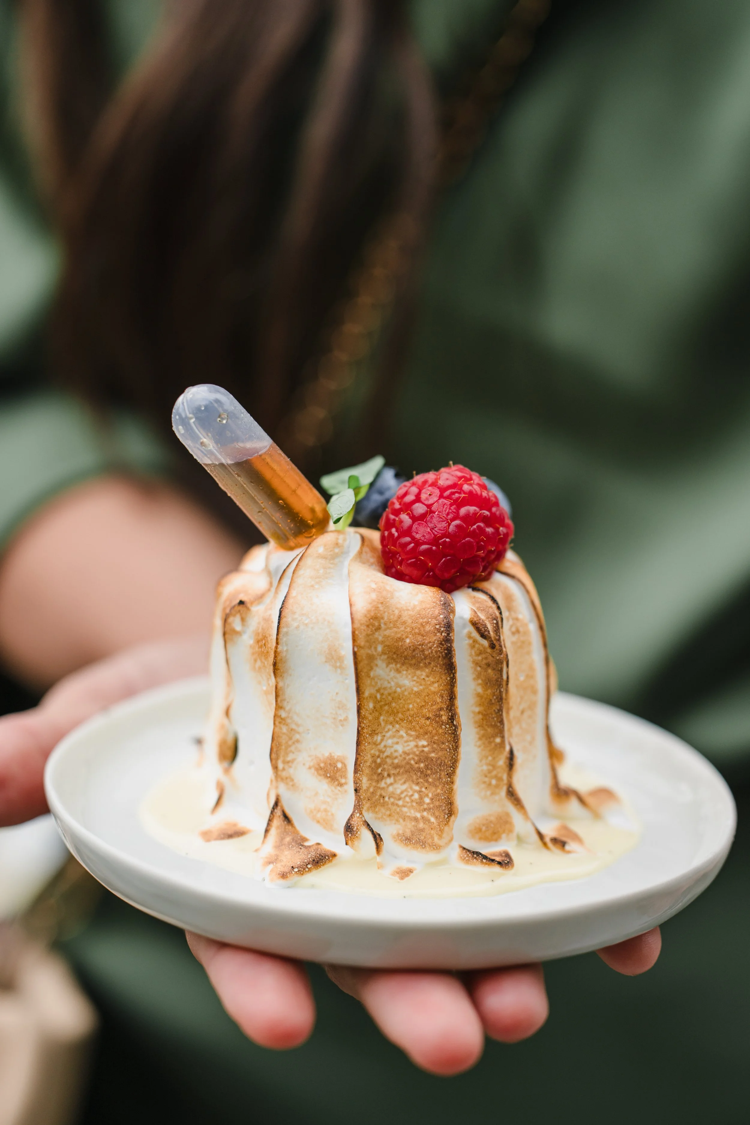 Baked Alaska