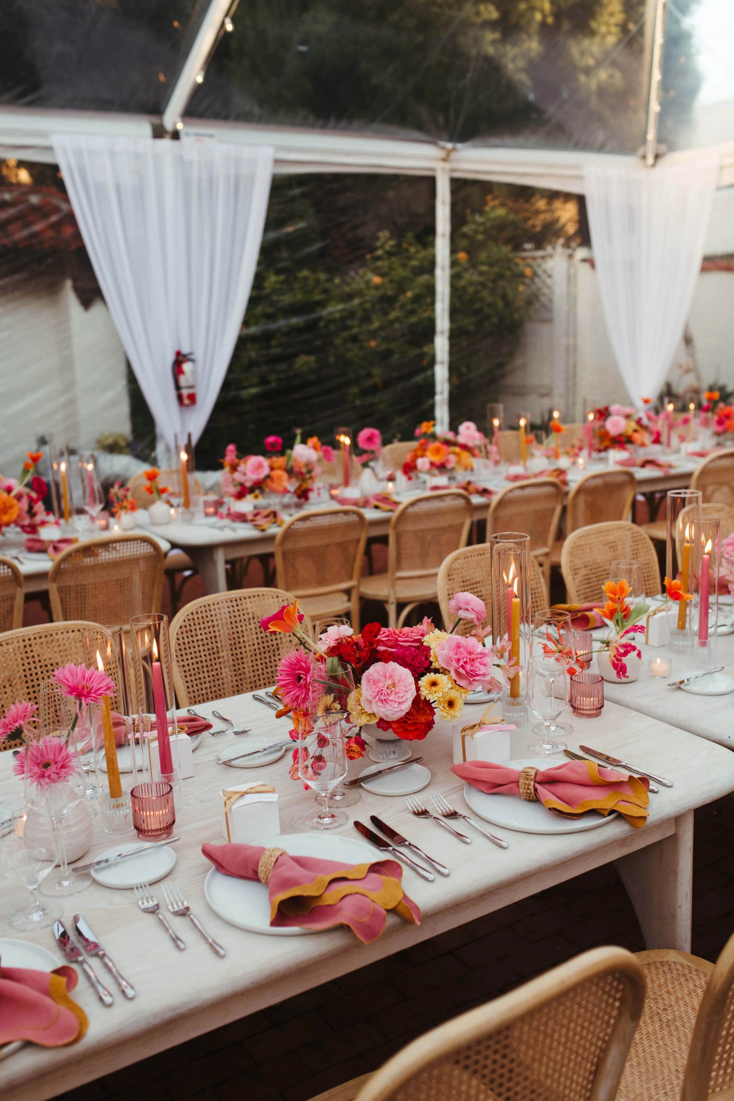 Courtney Paige Photo-334.jpg