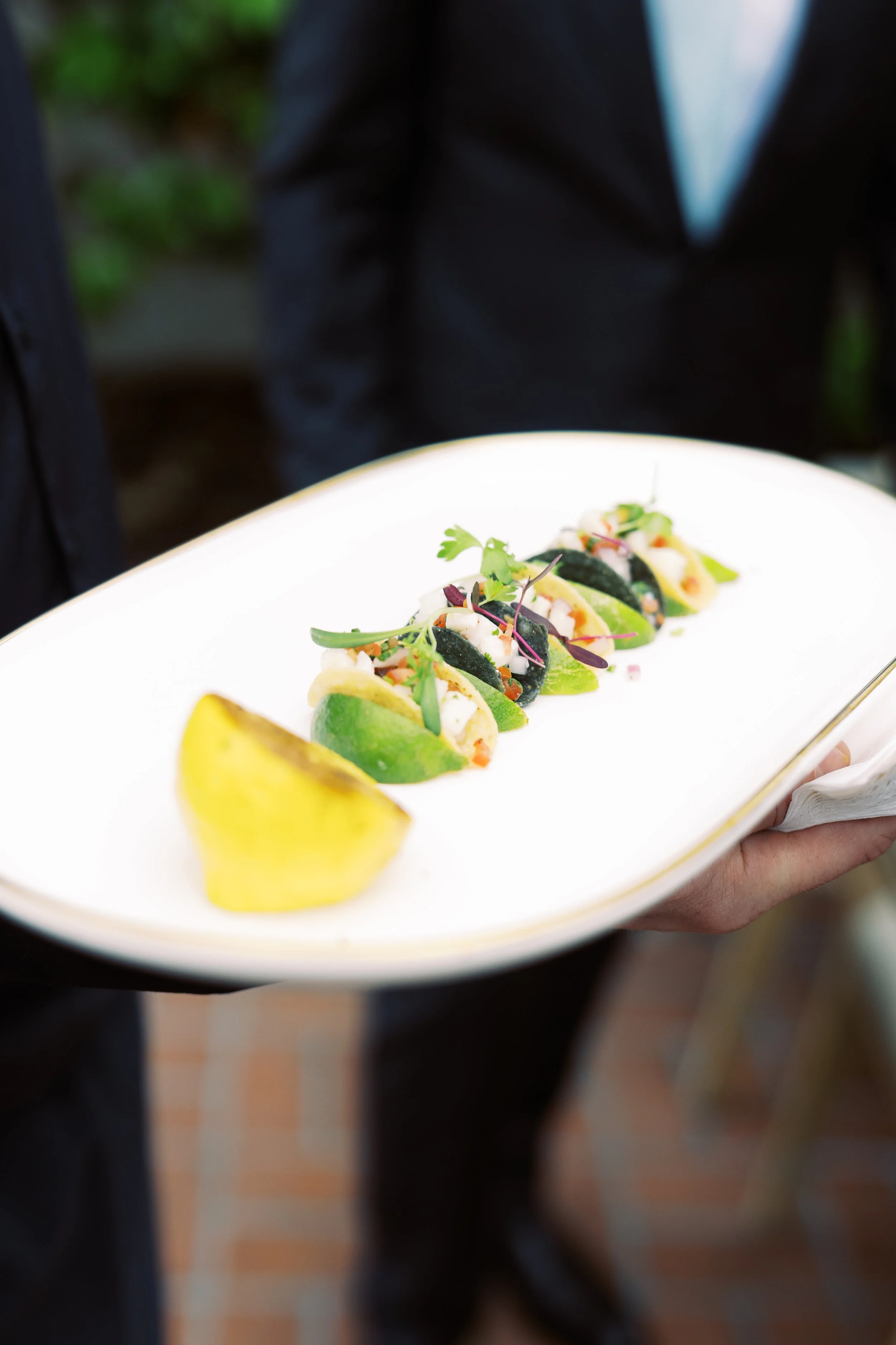 Sea Bass Ceviche Taco