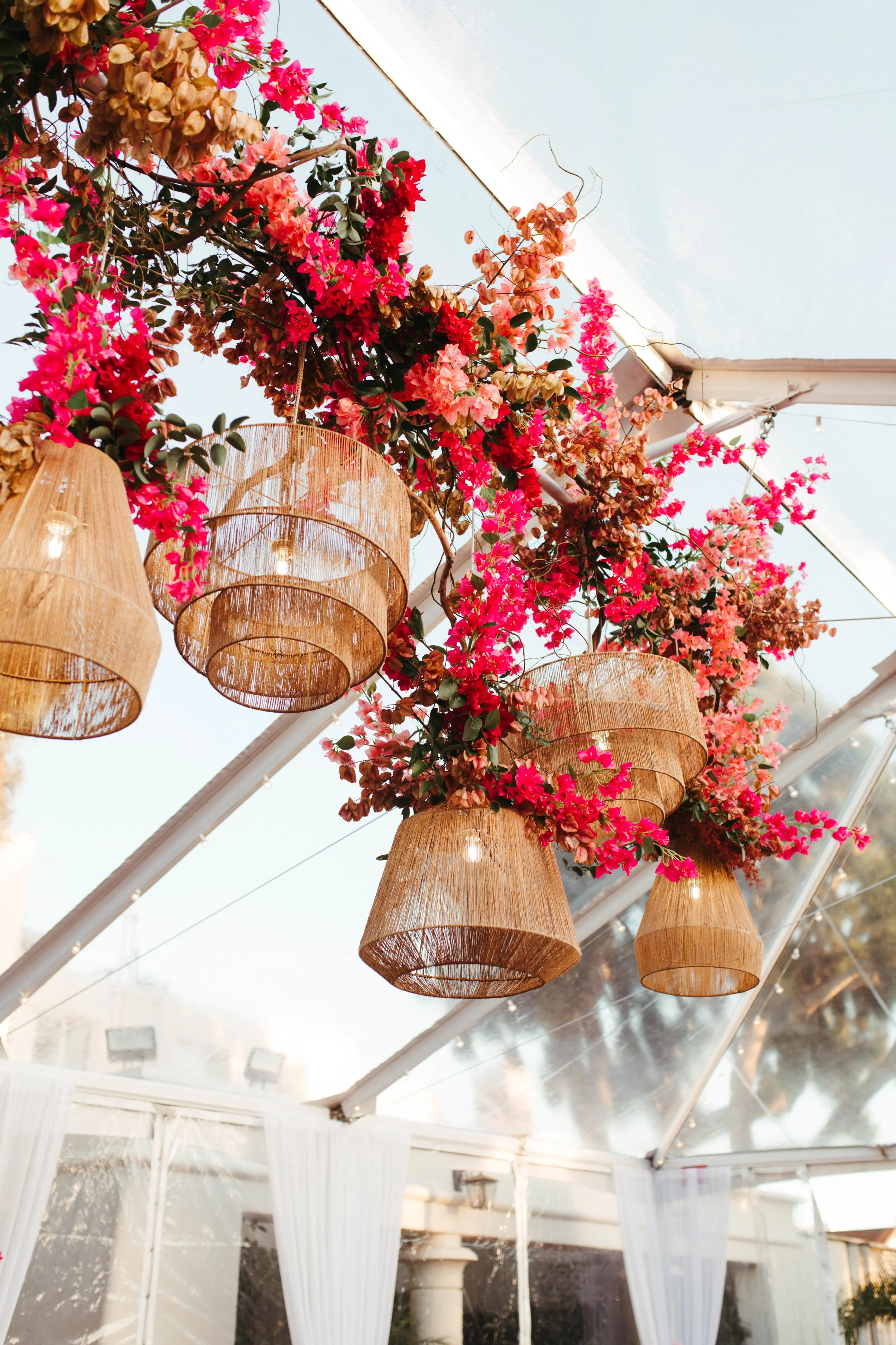 Courtney Paige Photo-337.jpg