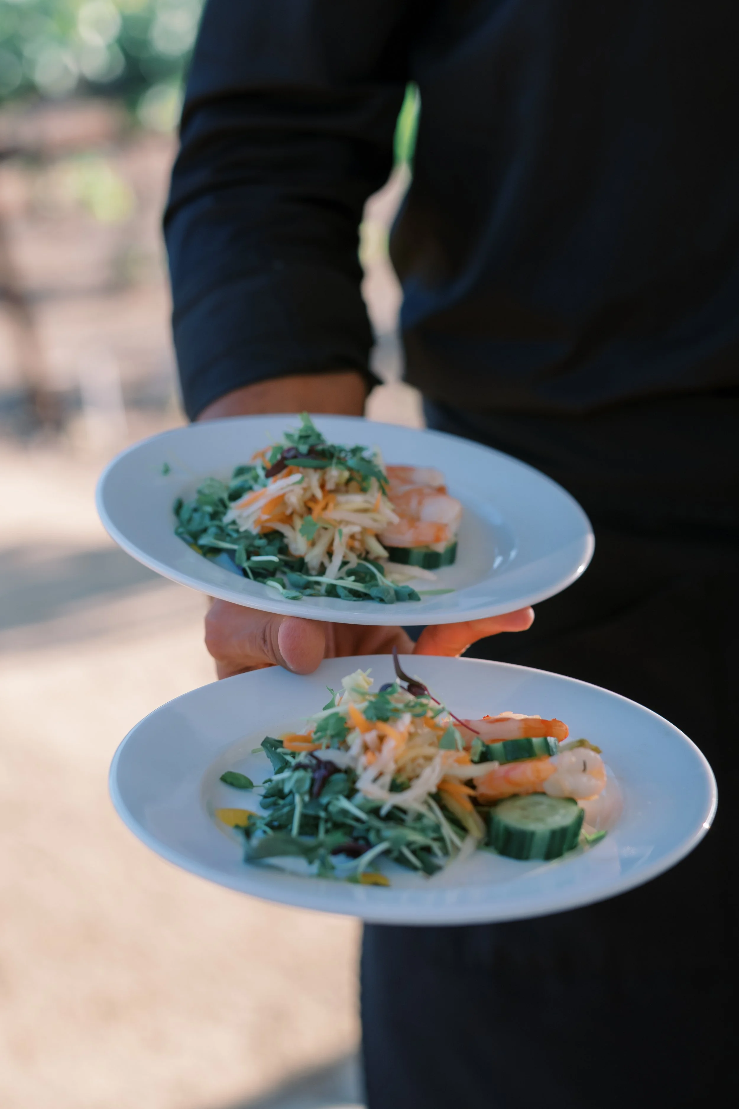 Mango Prawn Salad