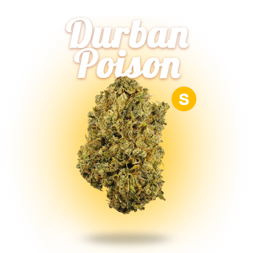 duraban poison.png