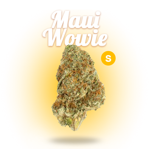 maui wowie.png