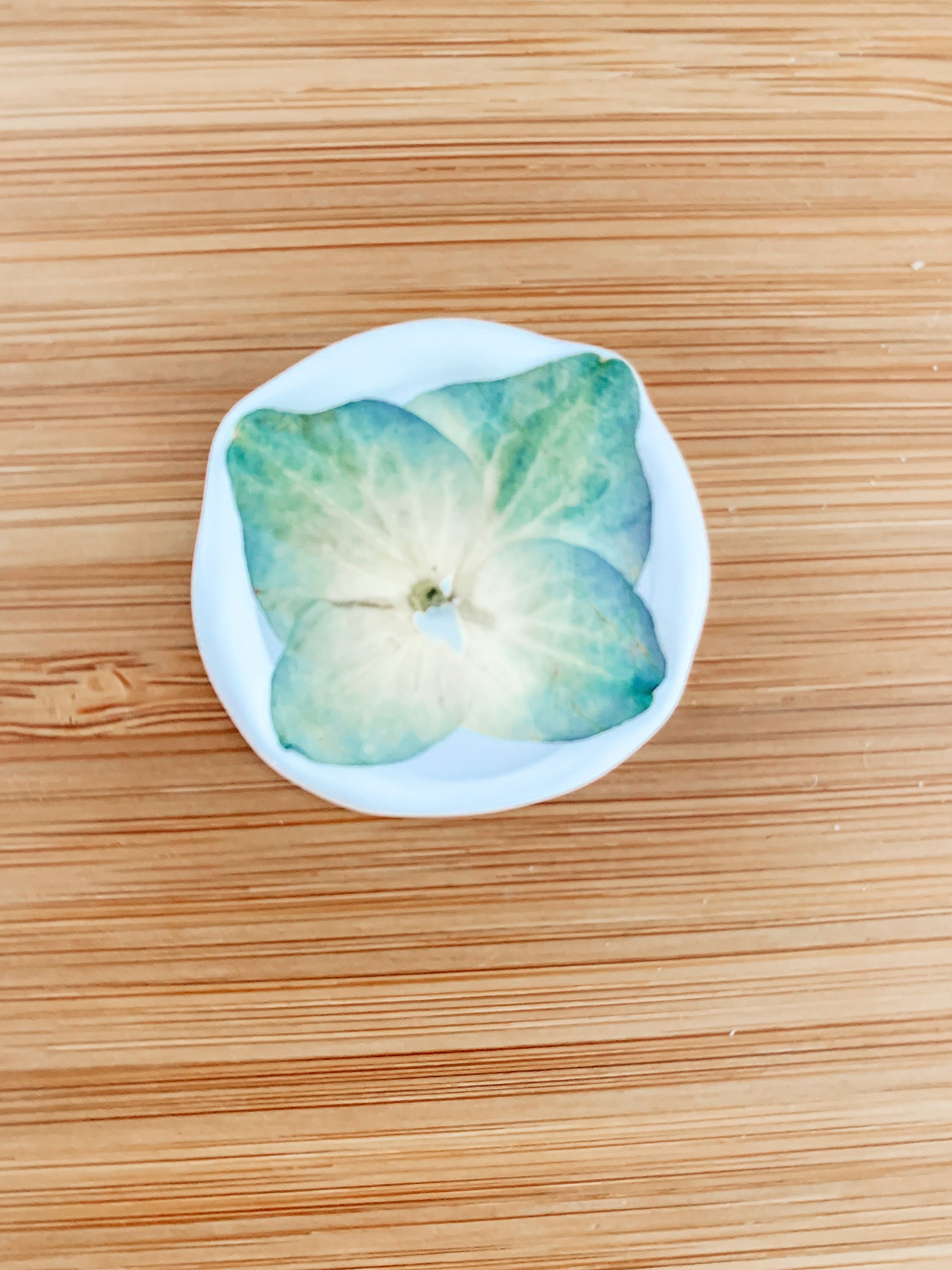https://i.etsystatic.com/8460306/r/il/4012d6/4929349899/il_fullxfull.4929349899_jbs7.jpg